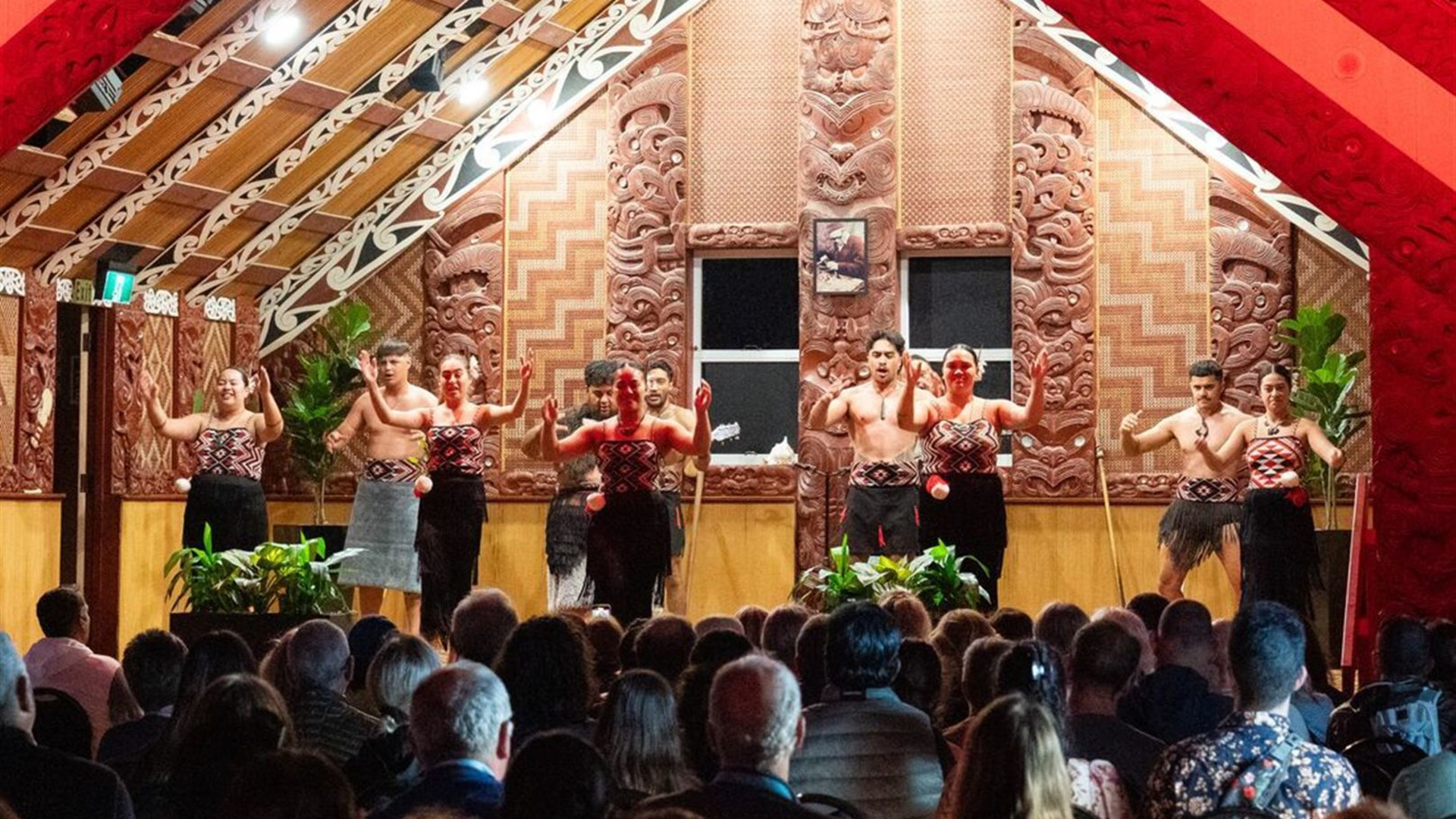 Premium New Zealand North Island