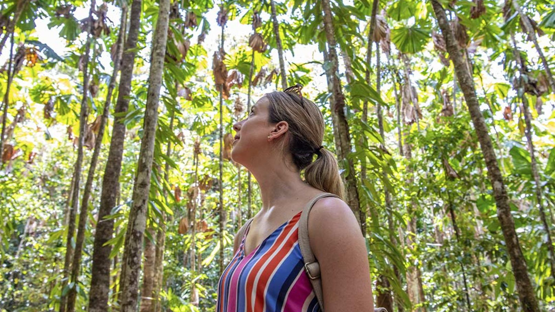 Daintree & Cape Tribulation Adventure