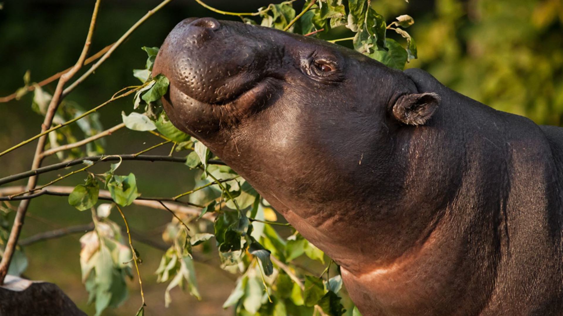 Sierra Leone Adventure: History, Culture & Nature