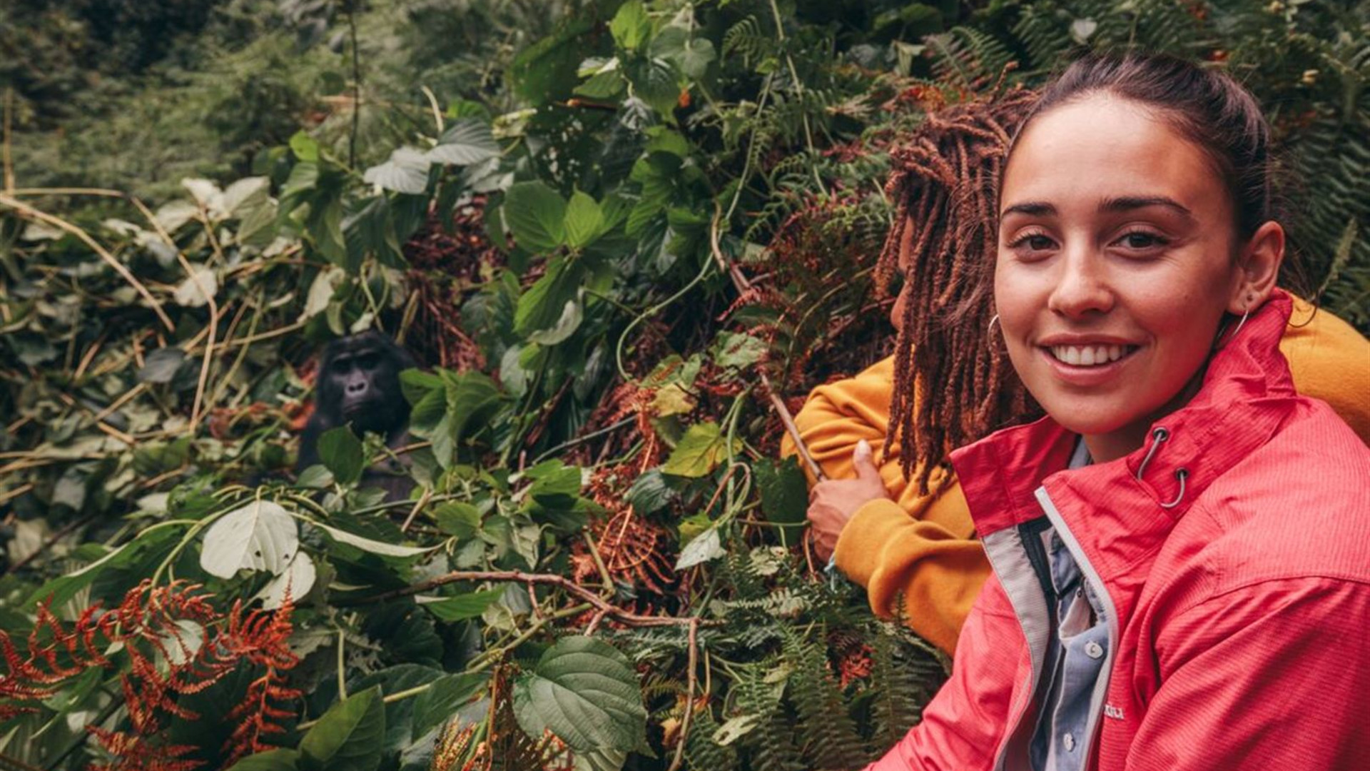 Gorillas & Game Parks