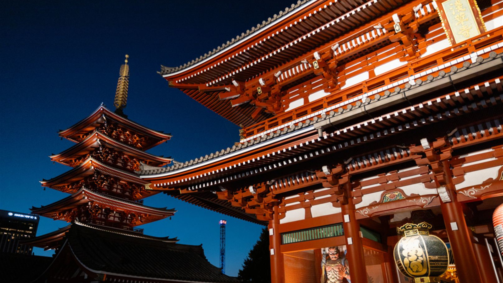 Japan Real Food Adventure