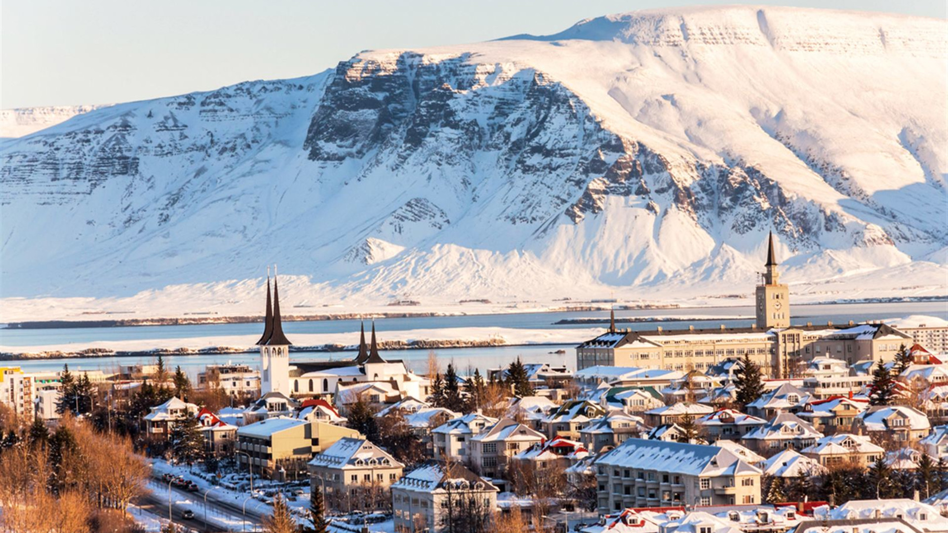 Iceland's Classic Northern Lights
