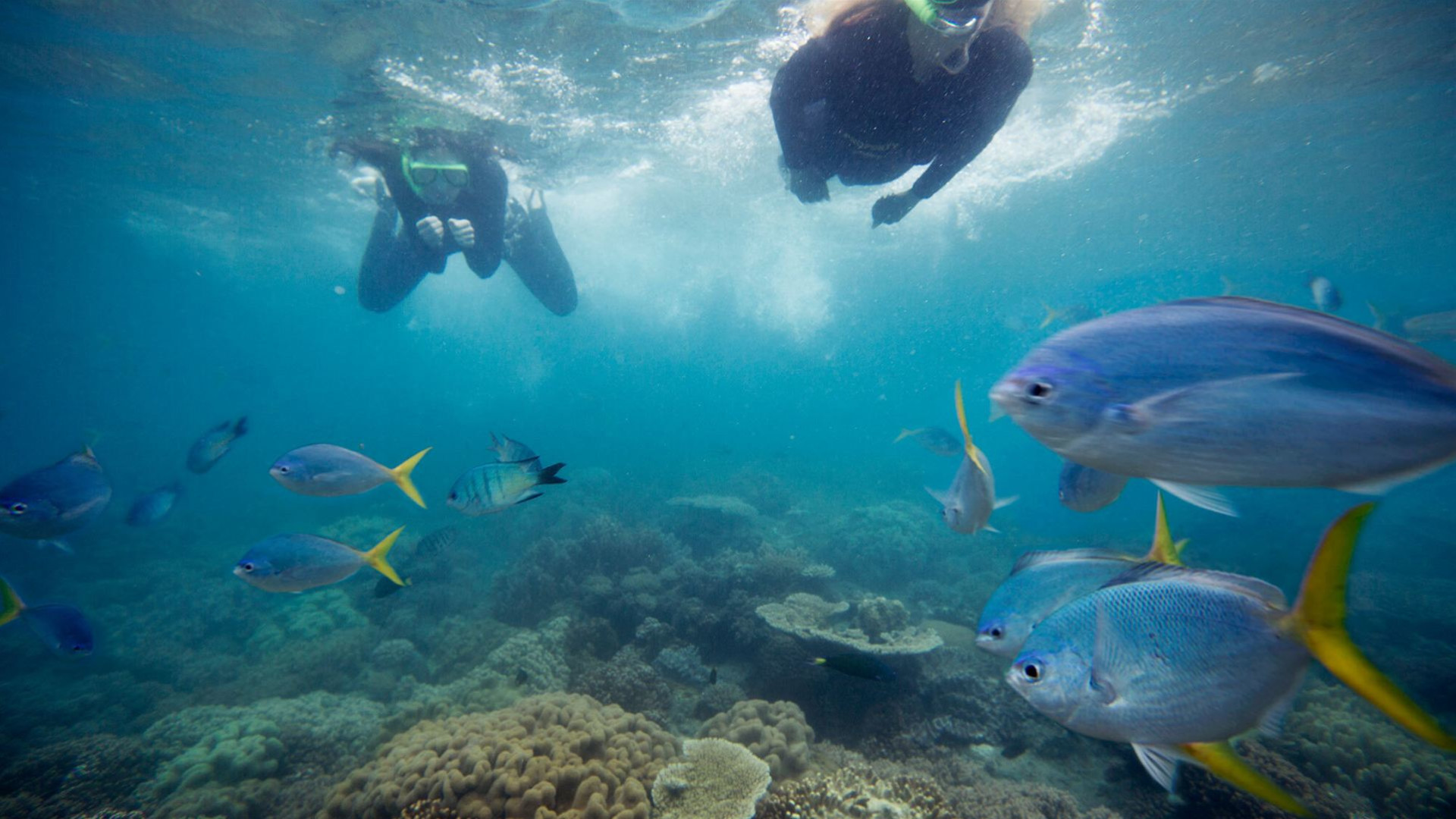 Australia and New Zealand: Surfing Waves & The Whitsundays