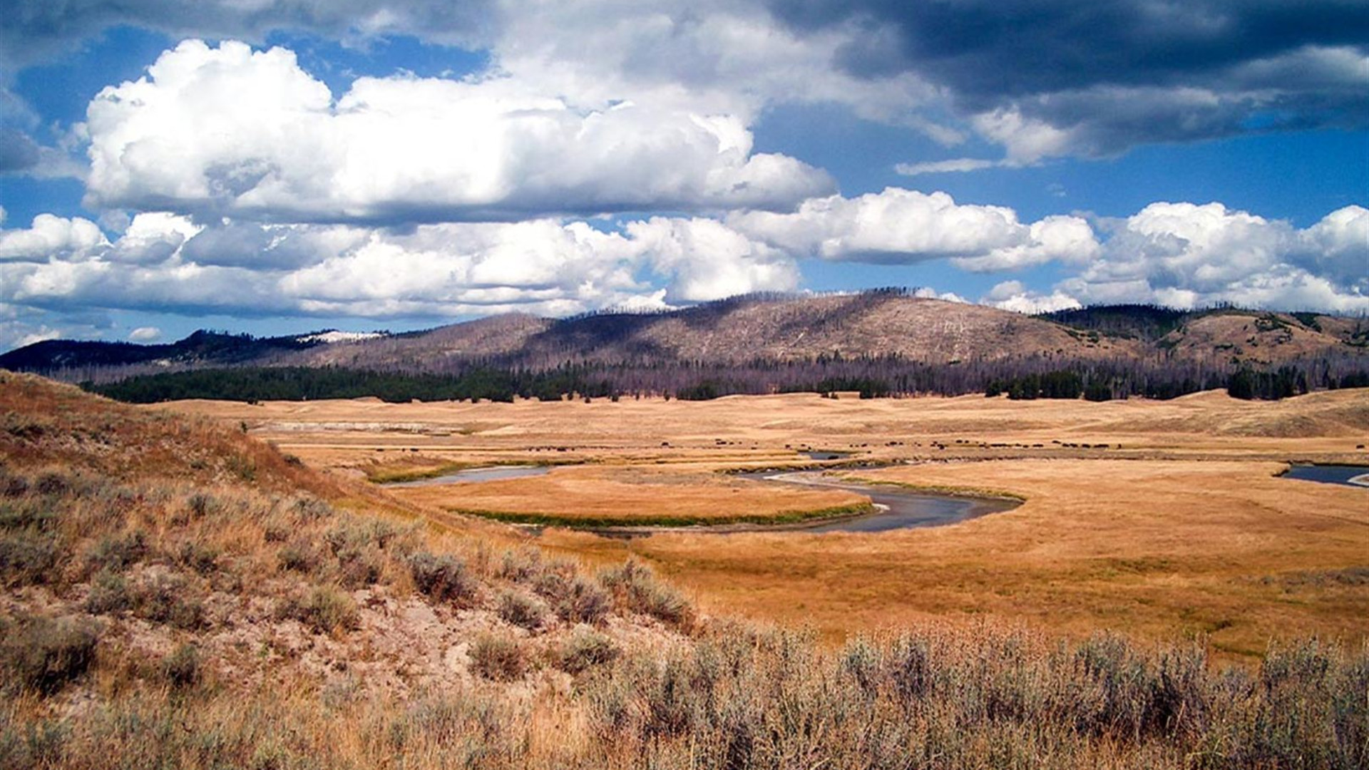 Hiking and Camping in Yellowstone