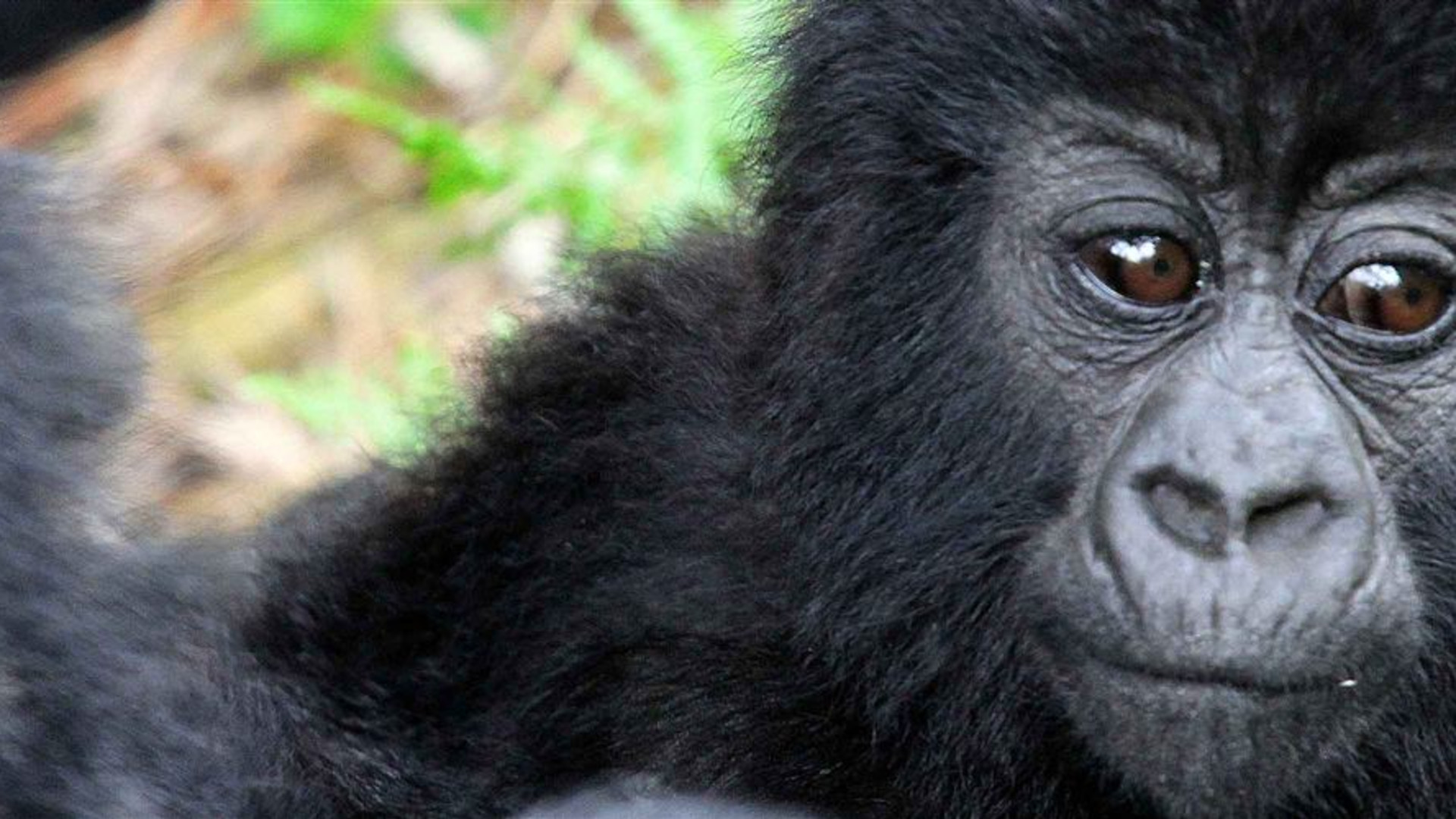 Africa Encompassed Southbound