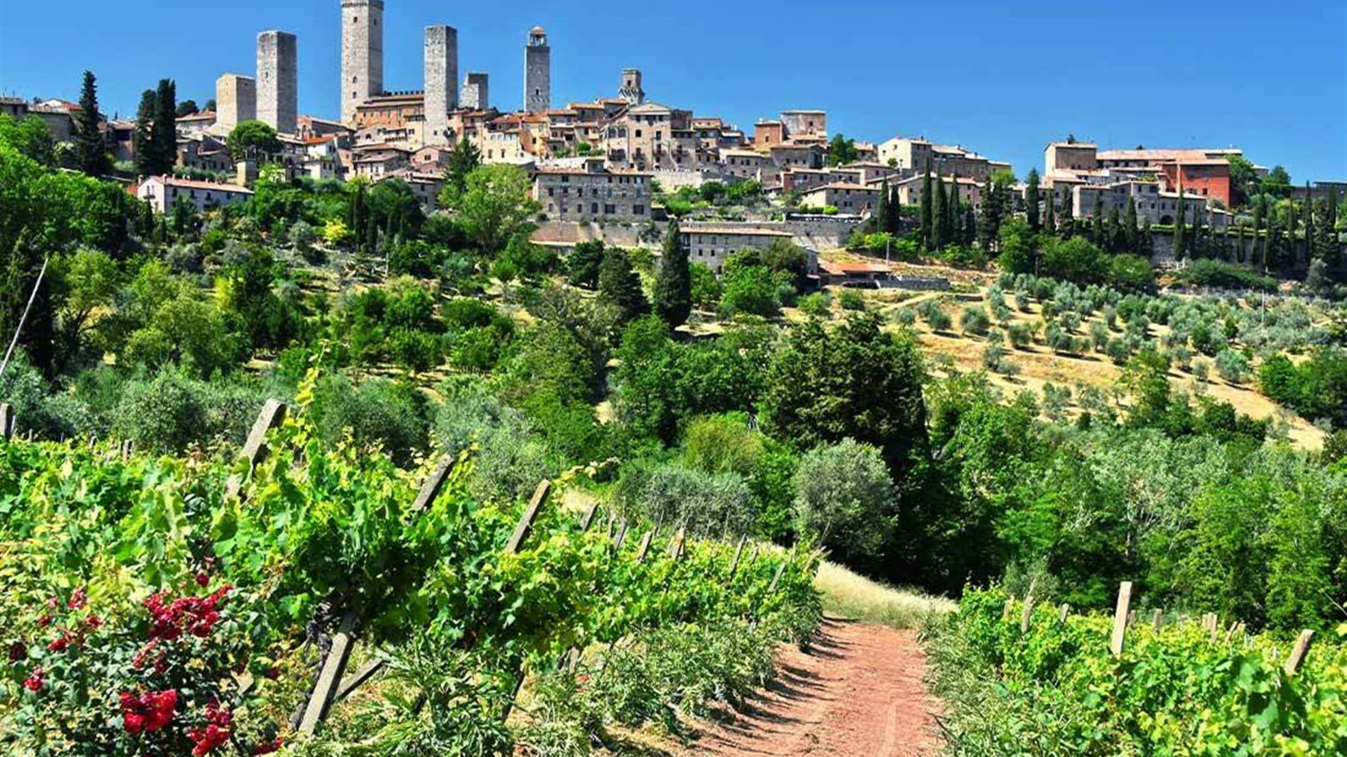 Premium Rome to Venice