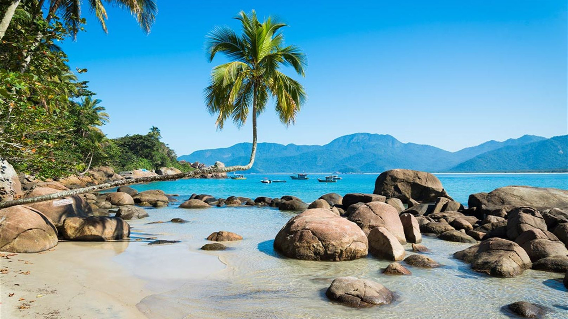 Real Bolivia to Brazil