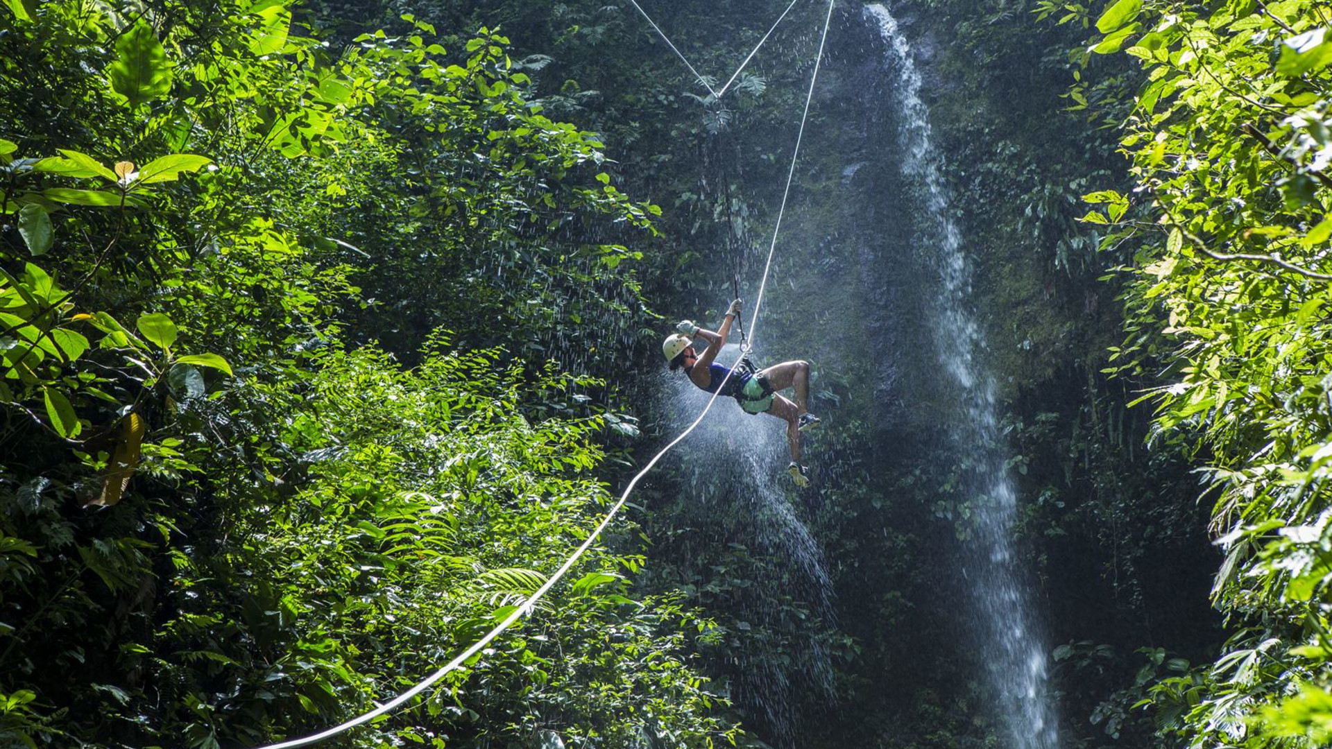 Basic Costa Rica: Coastlines & Cloud Forests