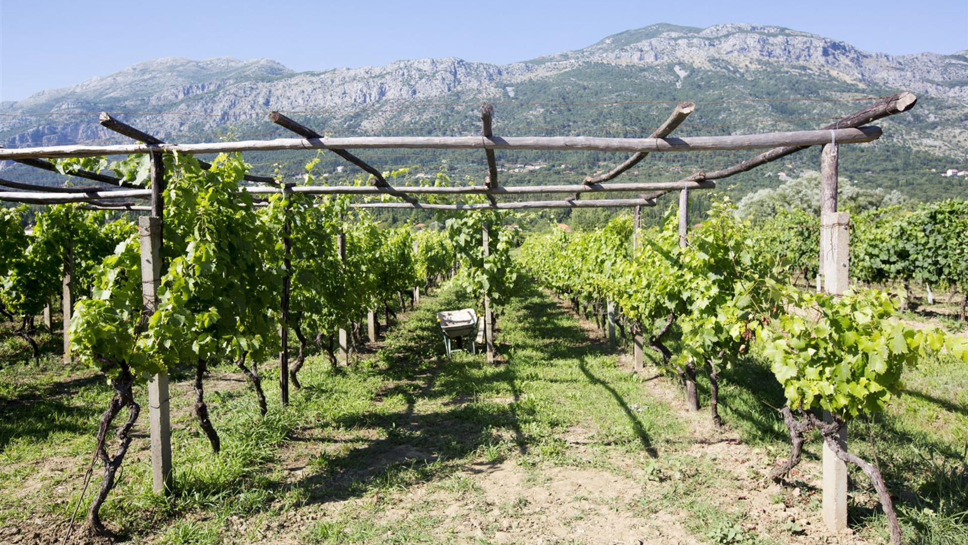 Kroatien Local Living – Süddalmatien