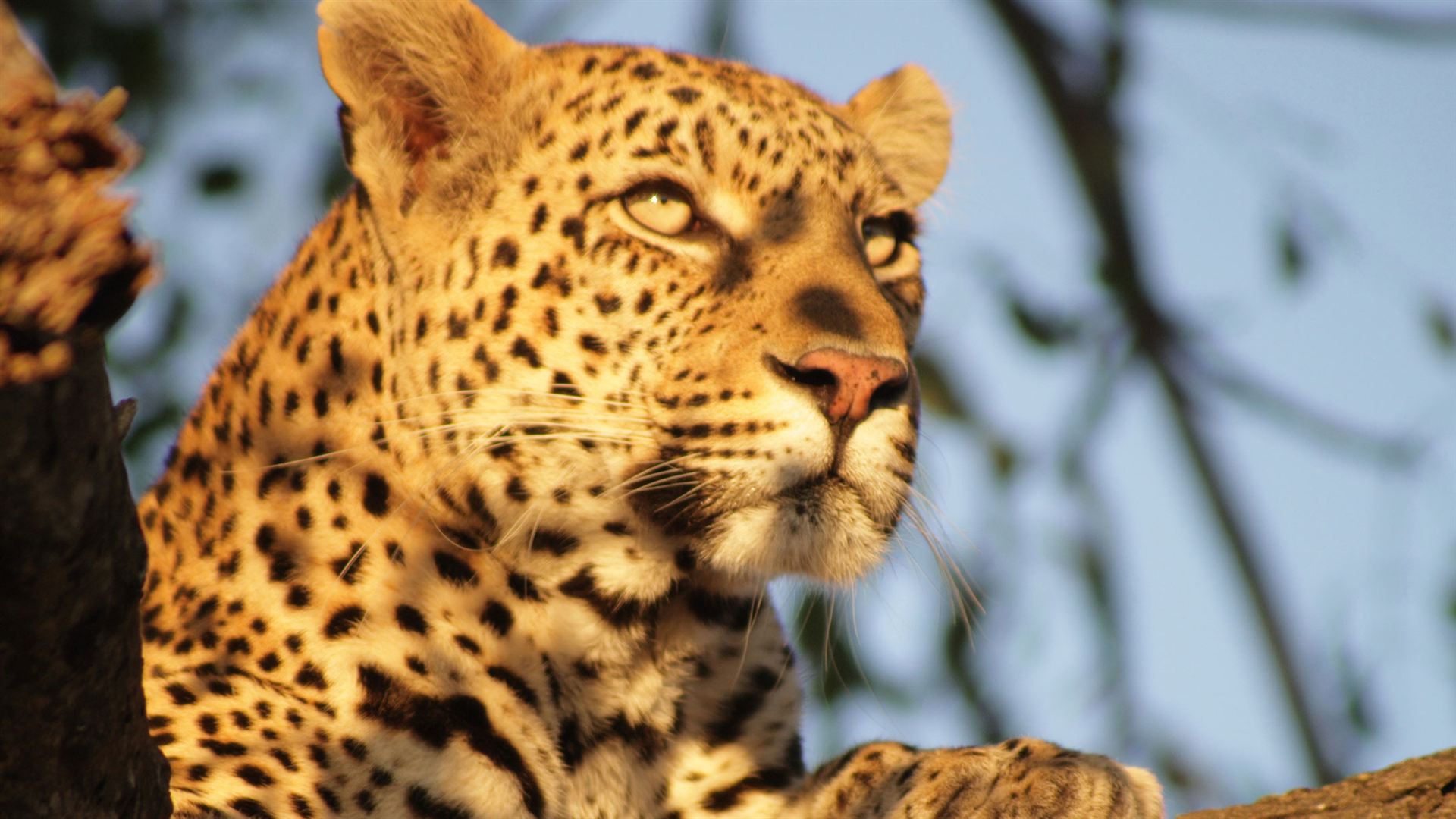 Journeys: Explore Kruger National Park