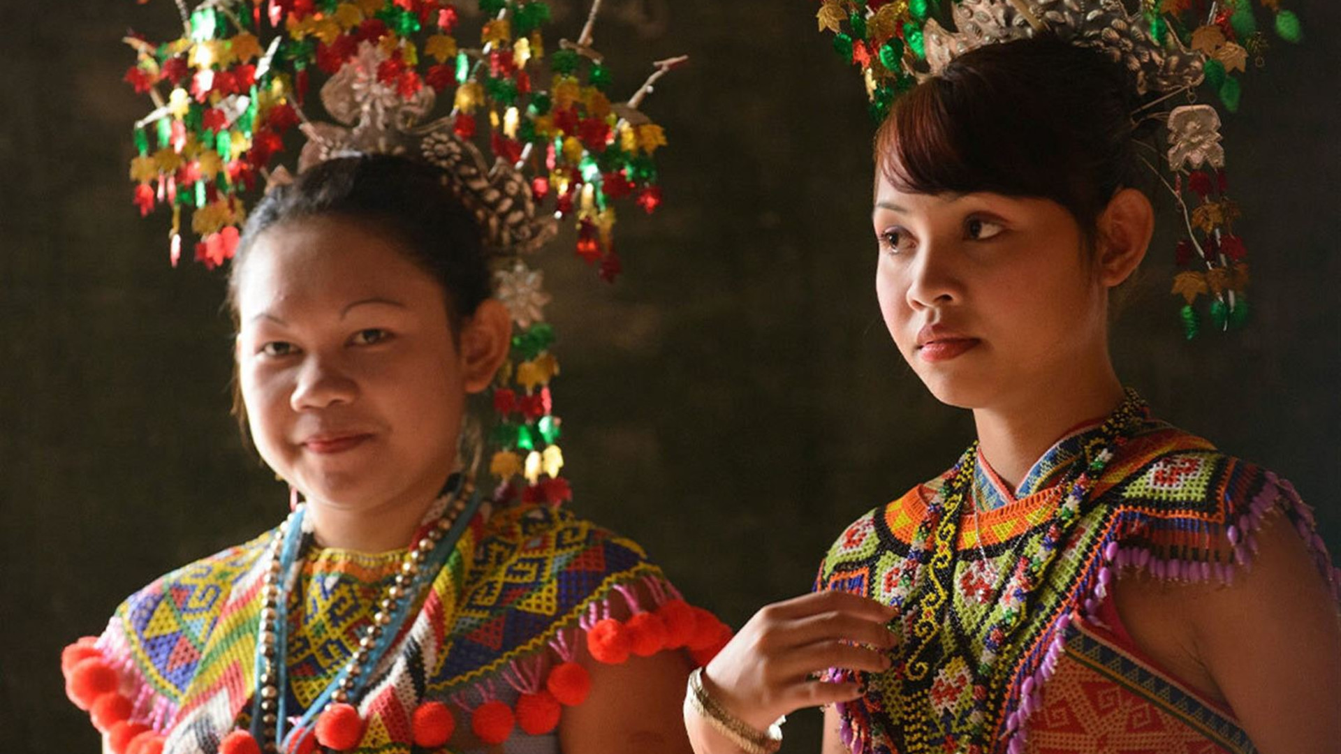 Premium Borneo in Depth