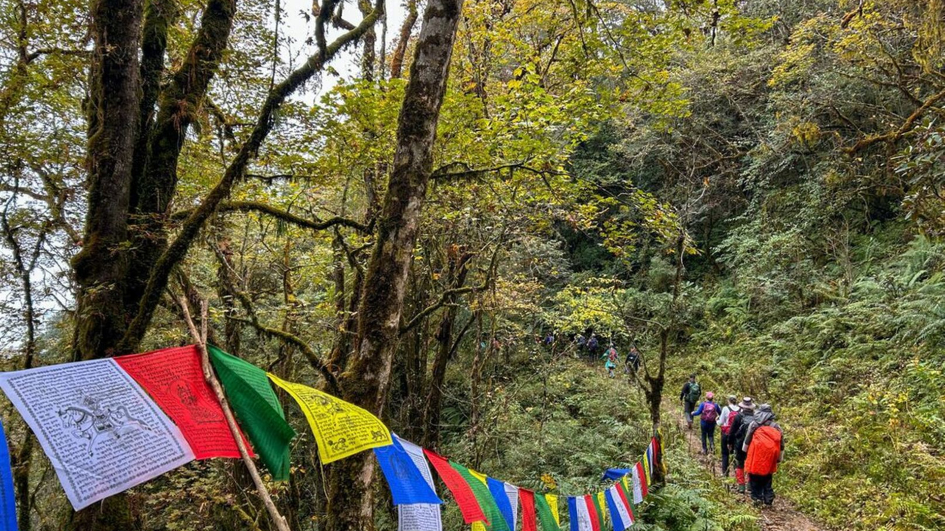  Hike the Trans Bhutan Trail