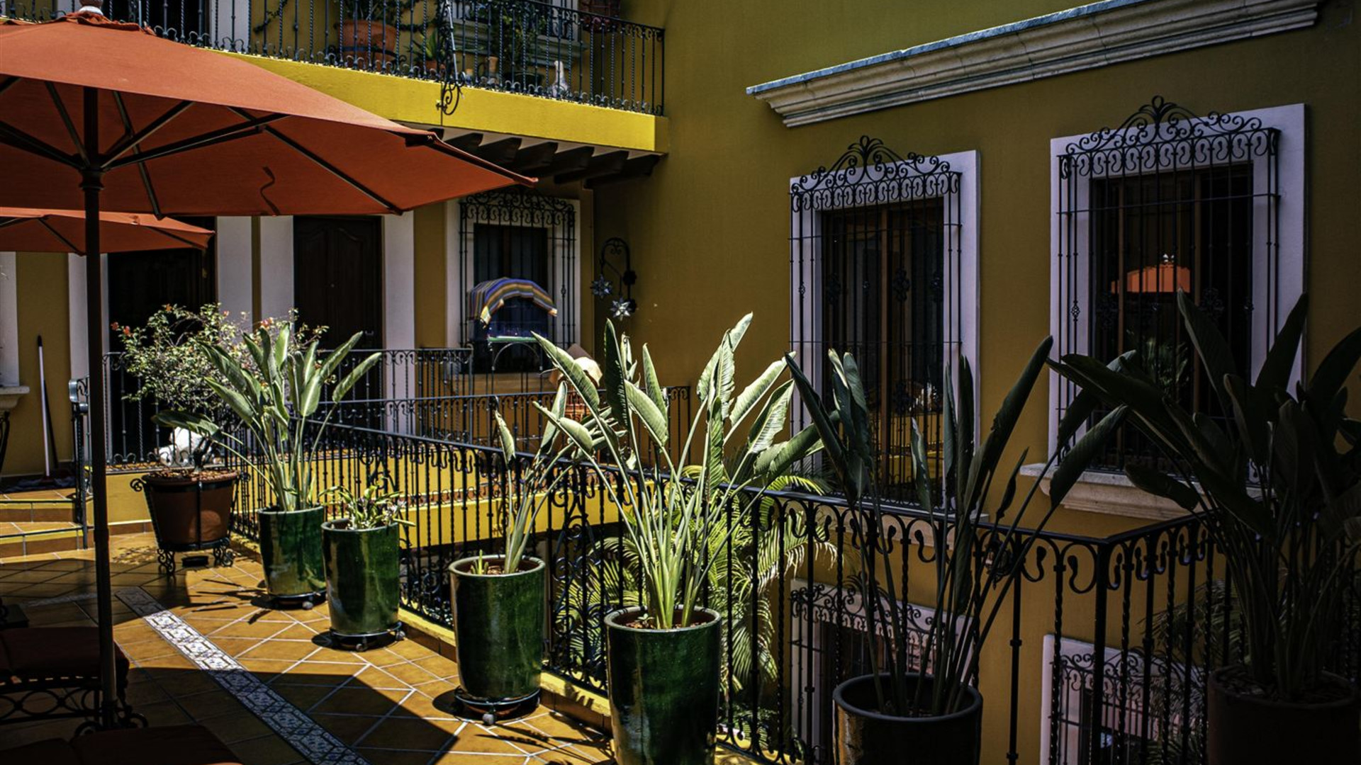 Central Mexico: Oaxaca to Mexico City