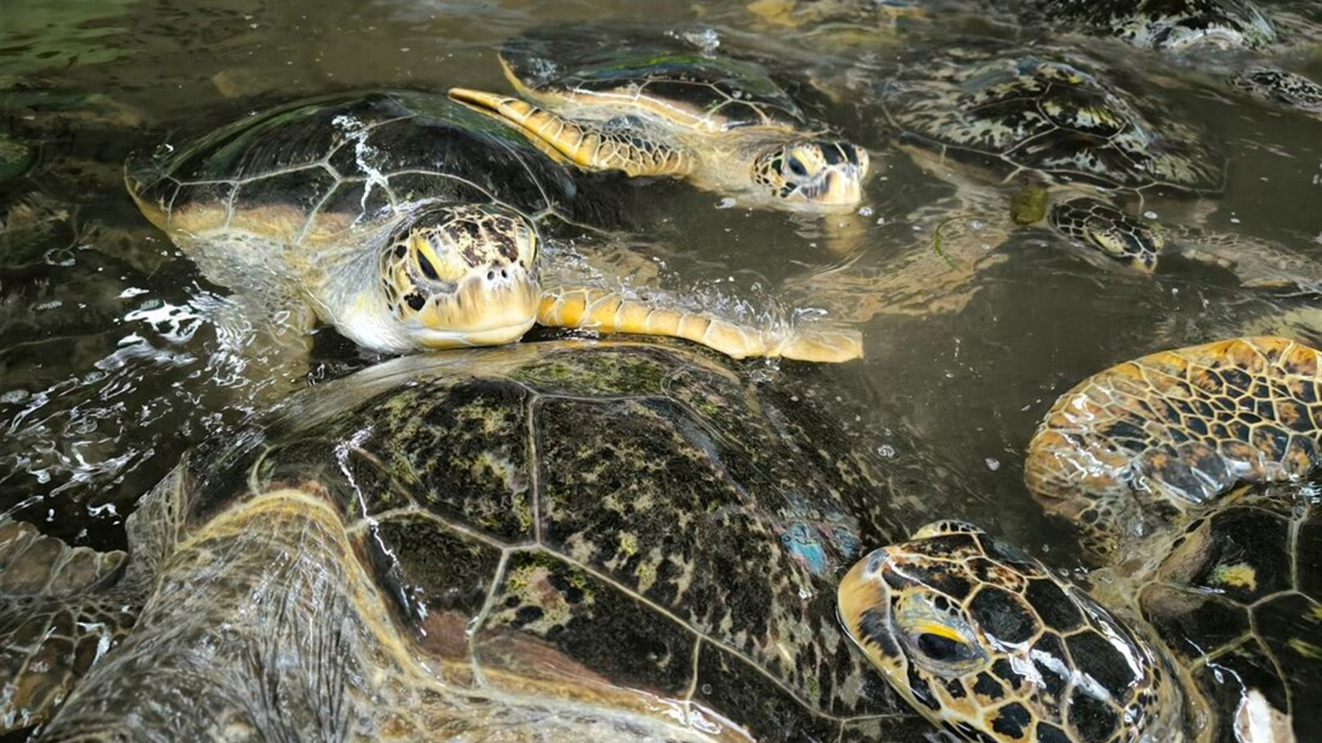Bali Family Holiday with Teenagers