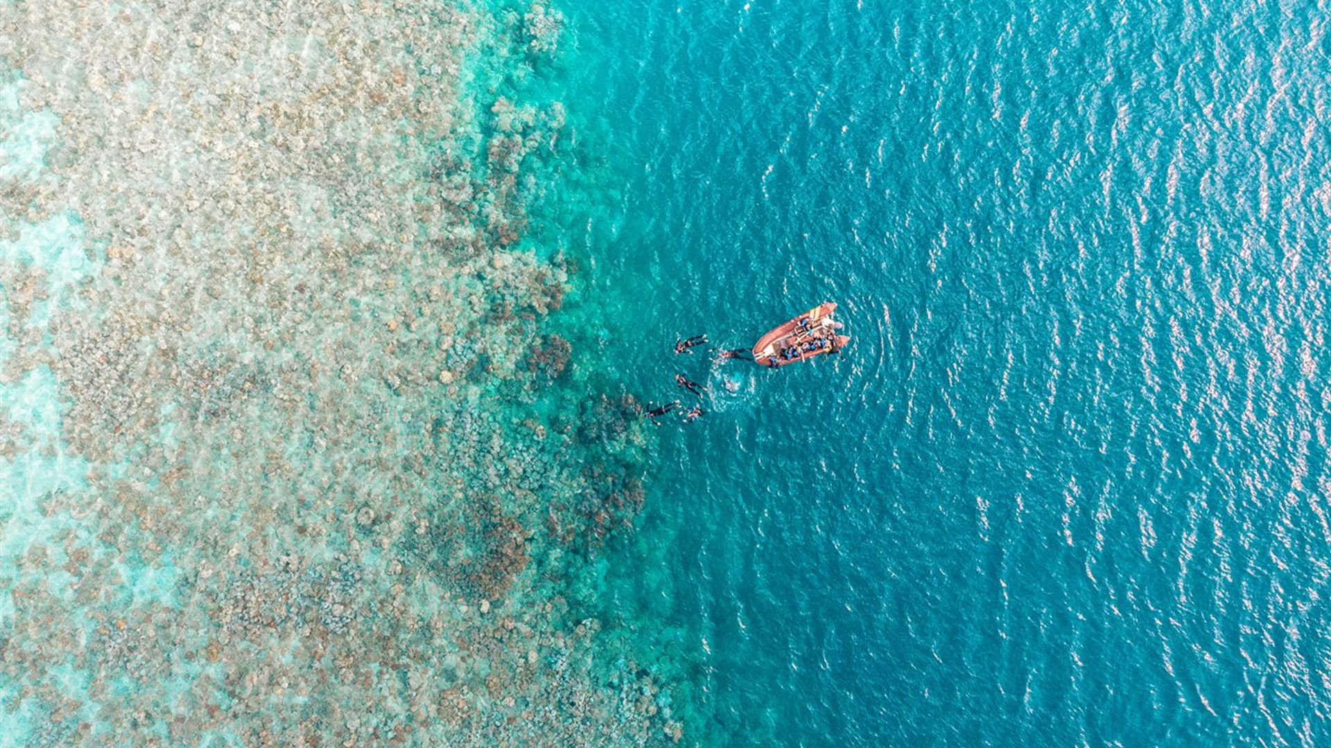 Australia: Beaches and Reefs
