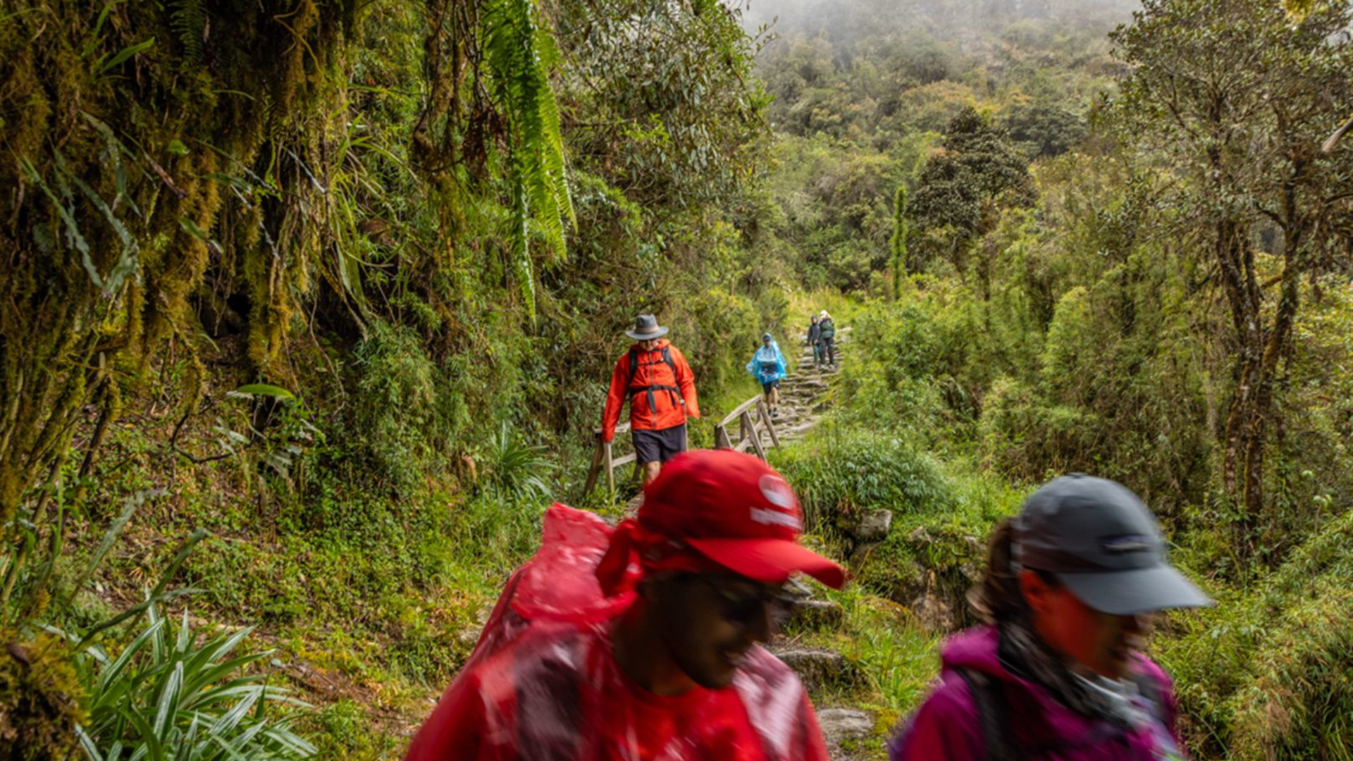 Sacred Land of the Incas