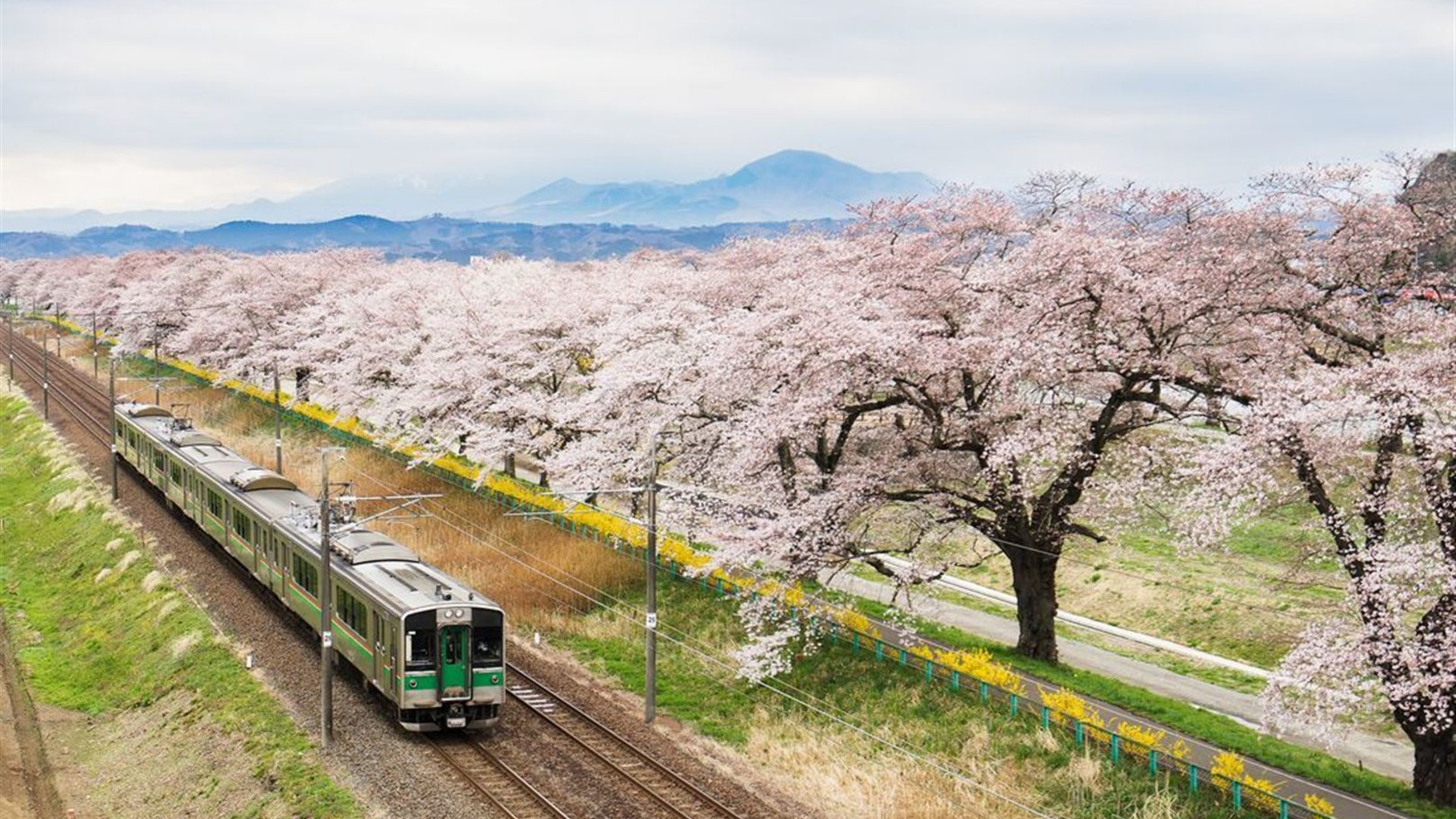 Japan: Land of the Rising Sun