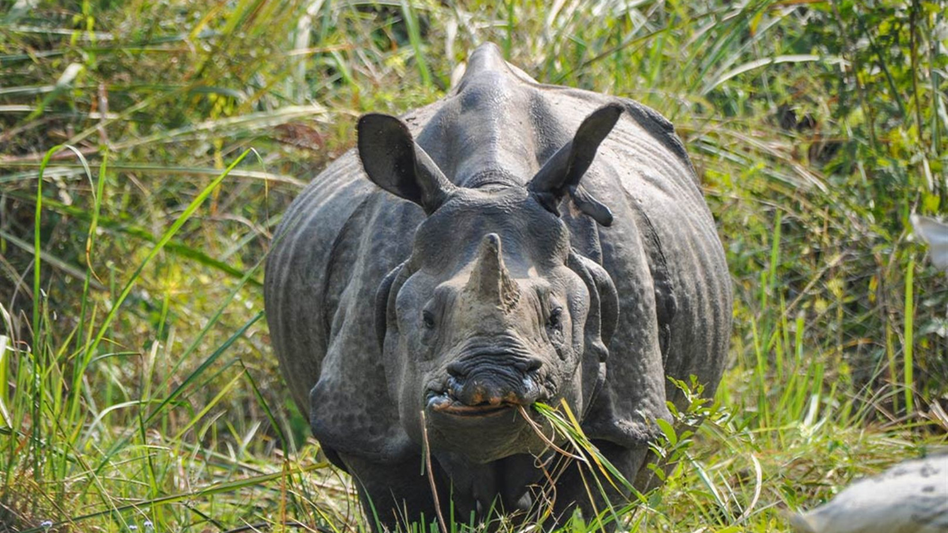 Premium Nepal & Bhutan