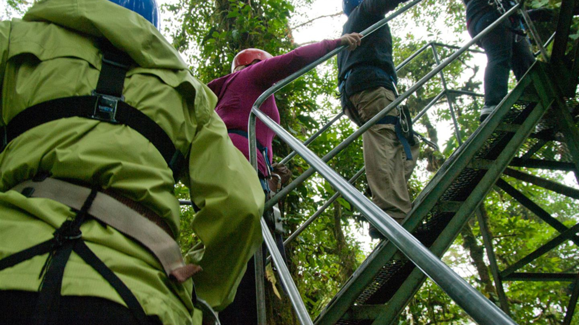 Costa Rica Family Journey: Vom Regenwald zur Küste