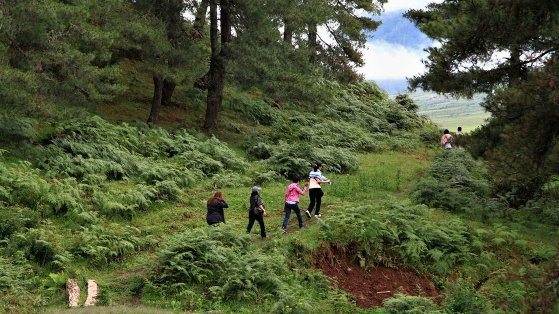  Hike the Trans Bhutan Trail