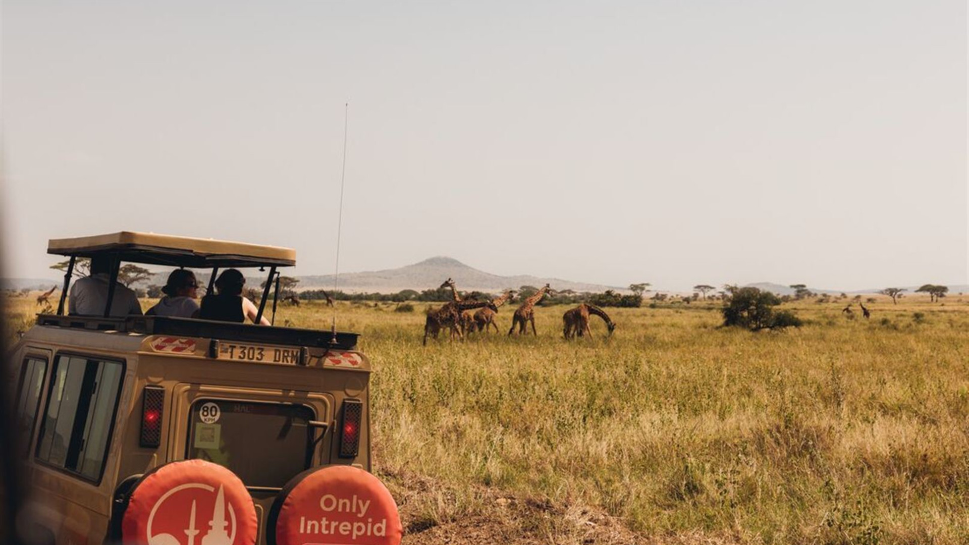 Stone Town to Nairobi