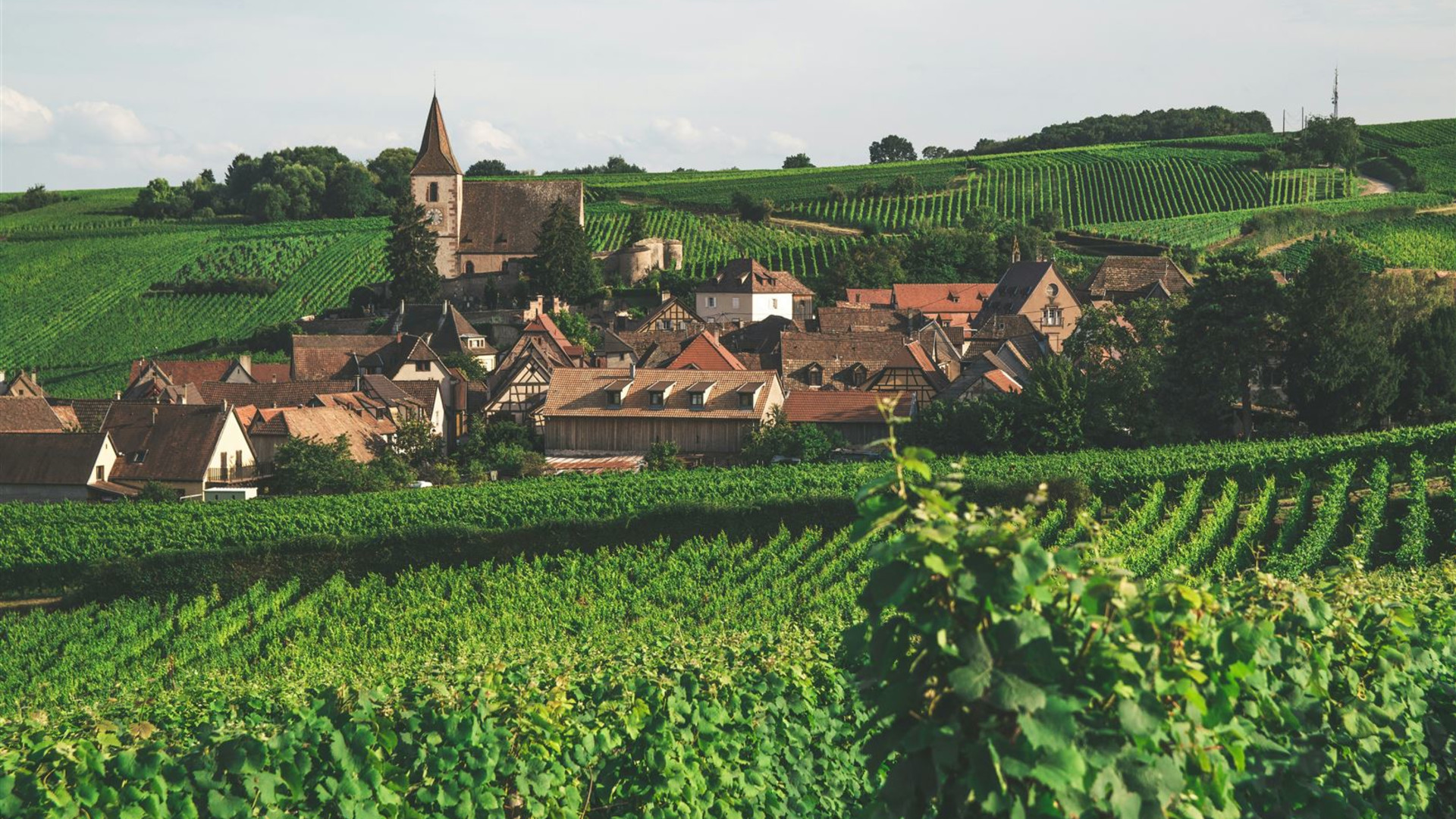 Europe: The Grand Tour 