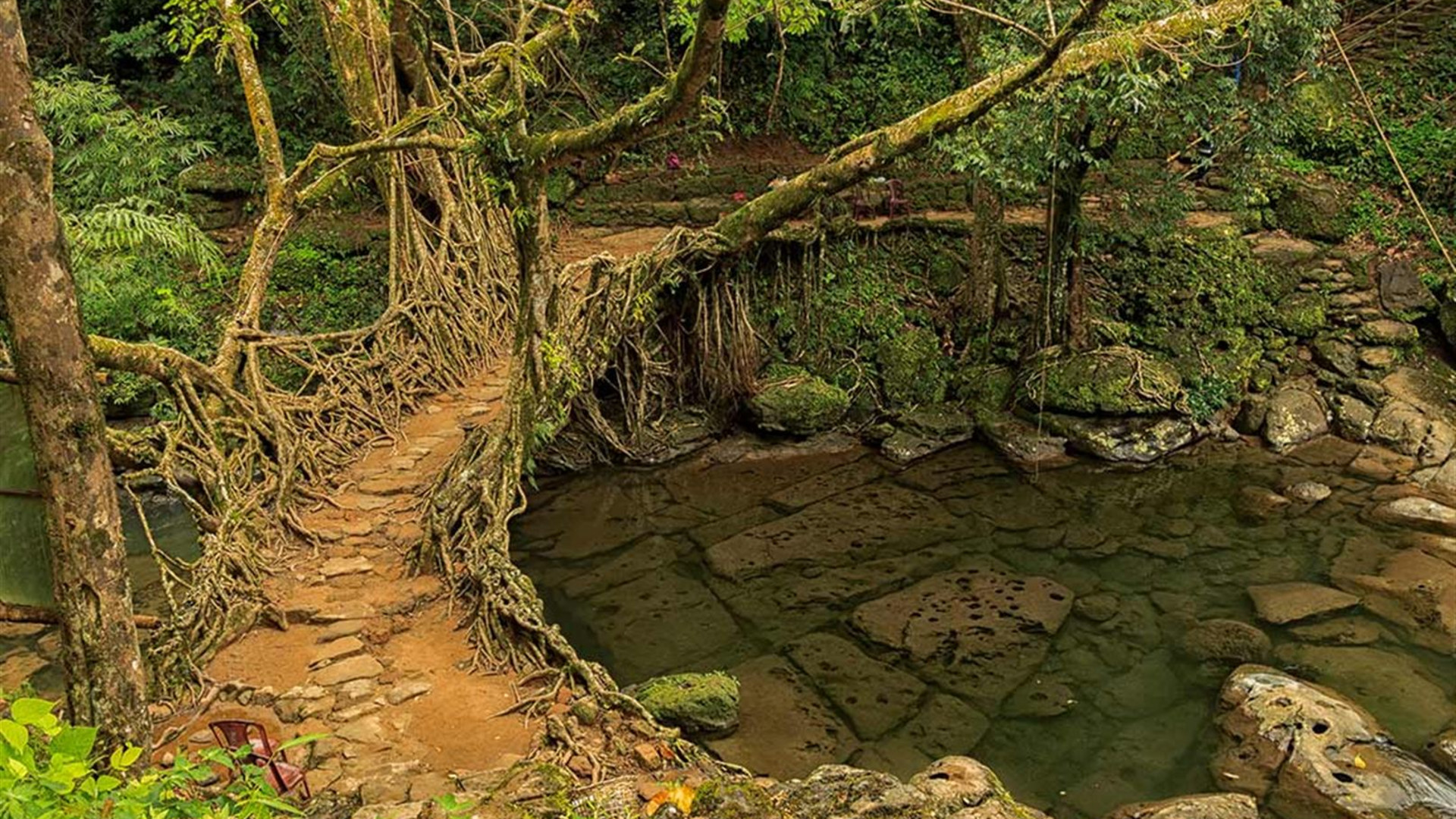 India Expedition: Sikkim, Assam & Nagaland