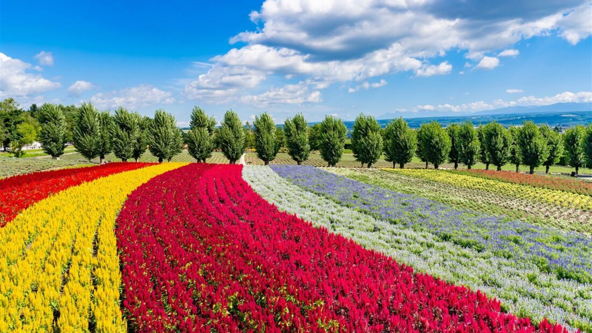 Japan Adventure