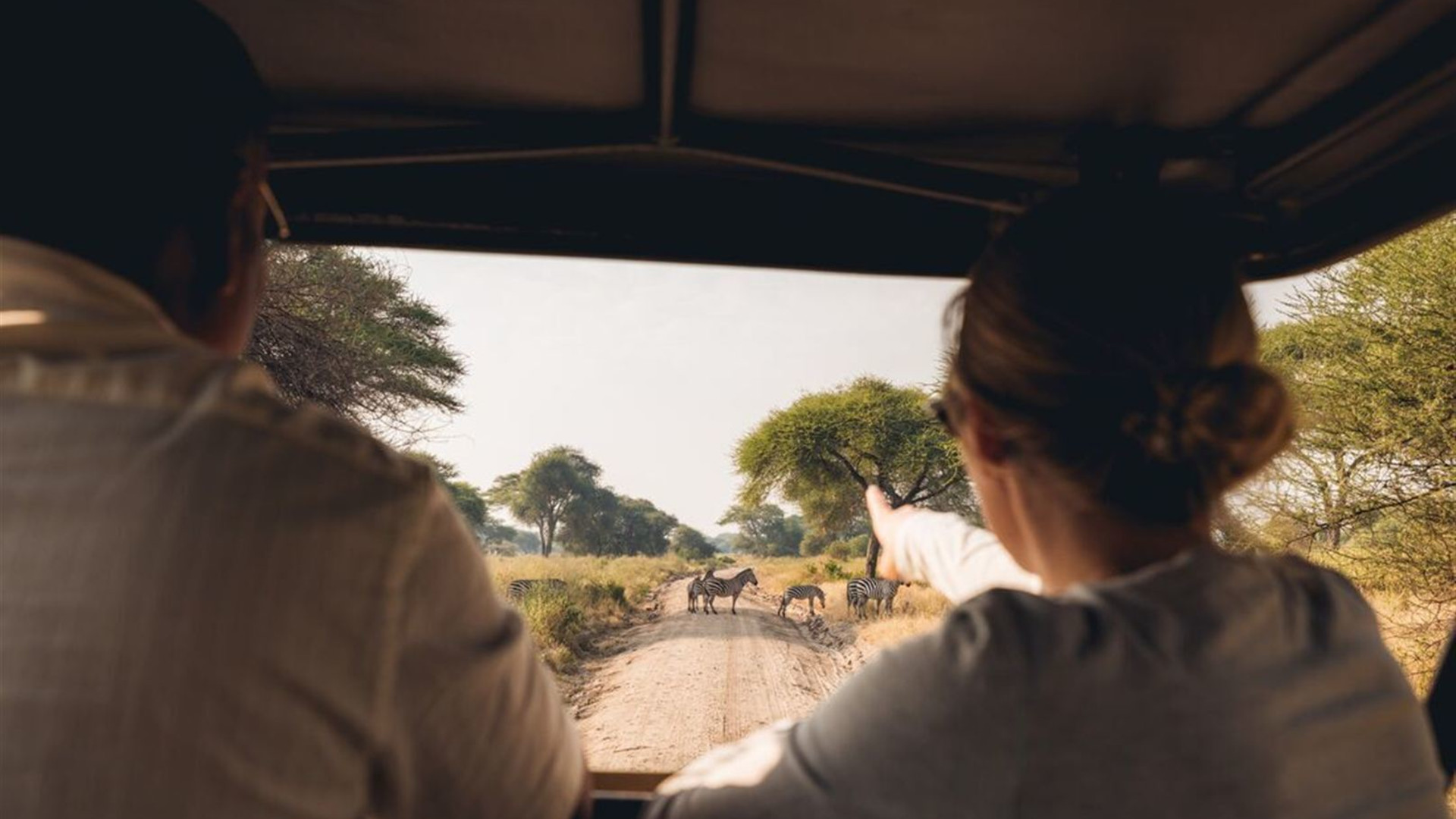 Premium Tanzania