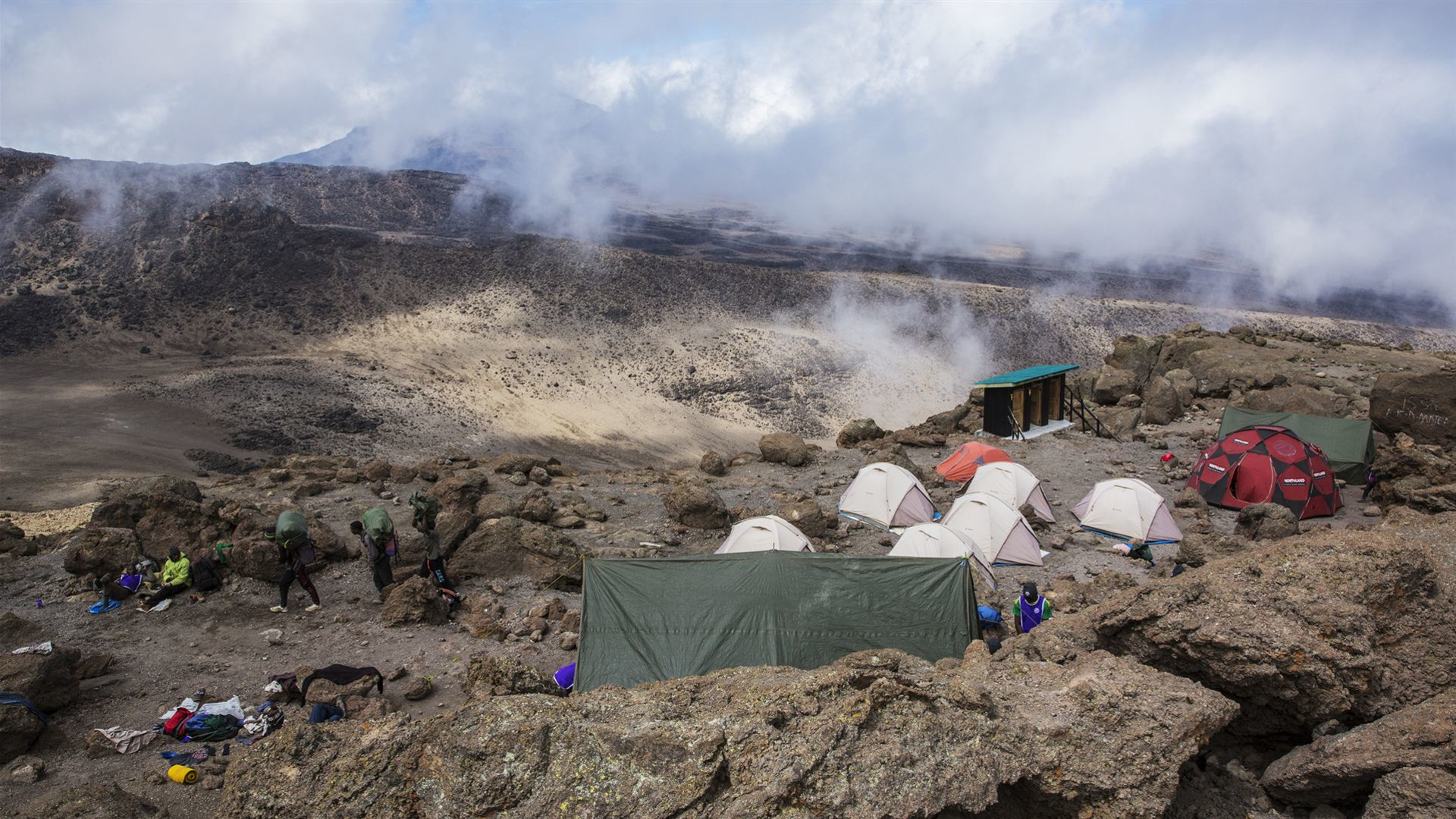 Tanzania: Kilimanjaro's Machame Route & Serengeti Wildlife