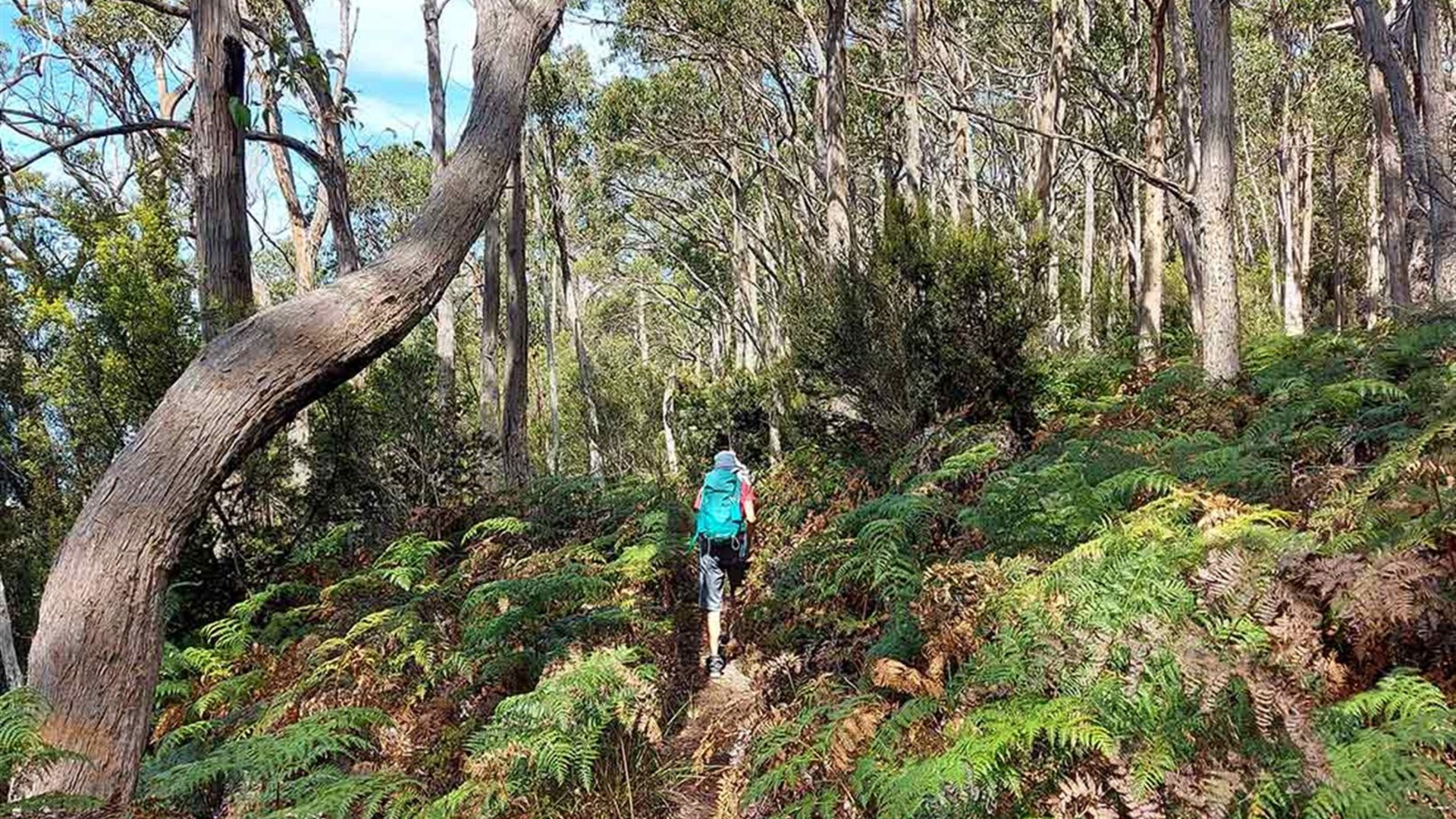 Walk Bruny Island & Tasmania's South West