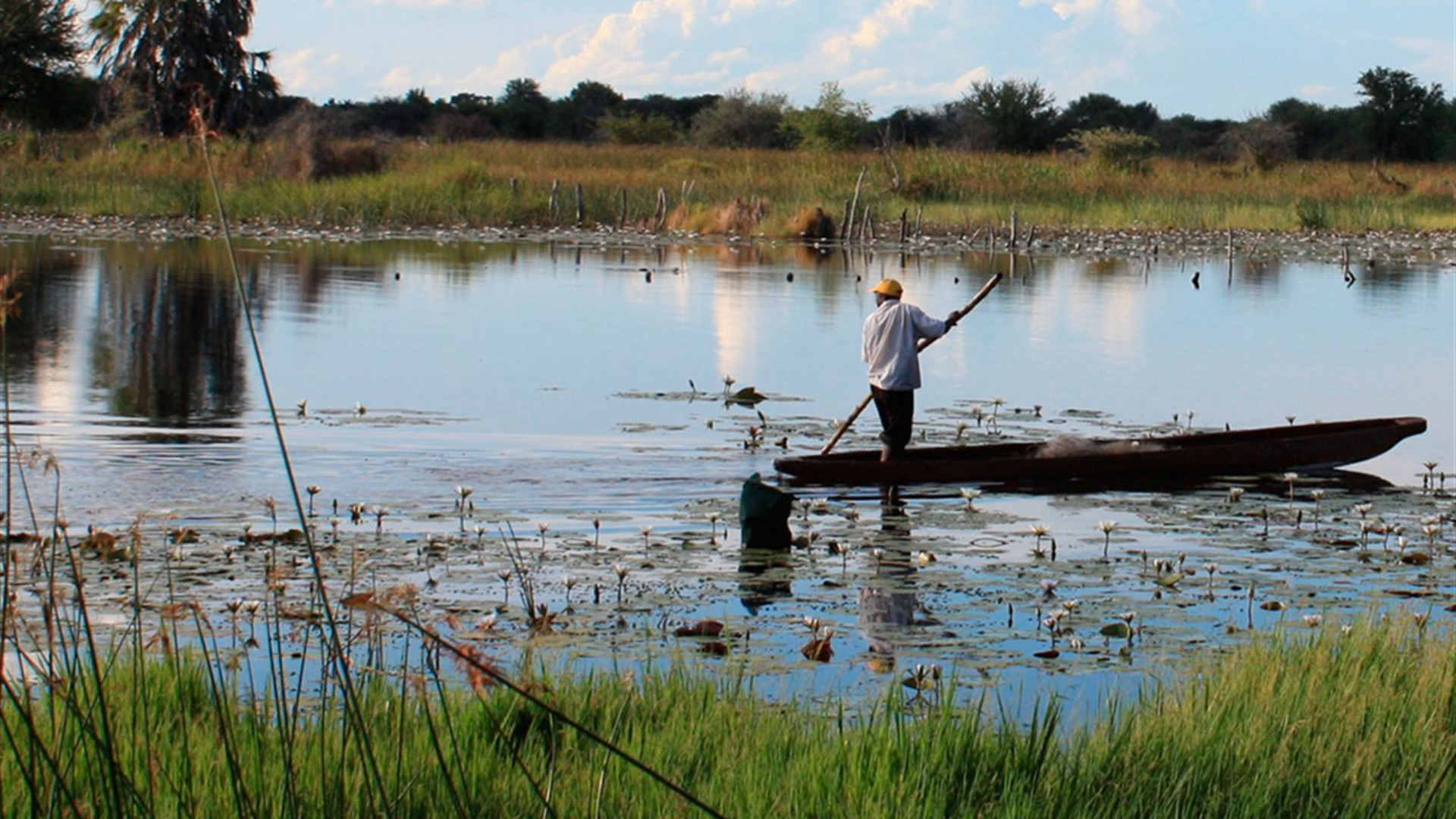 Signature: Botswana's Wildlife & the Okavango Delta