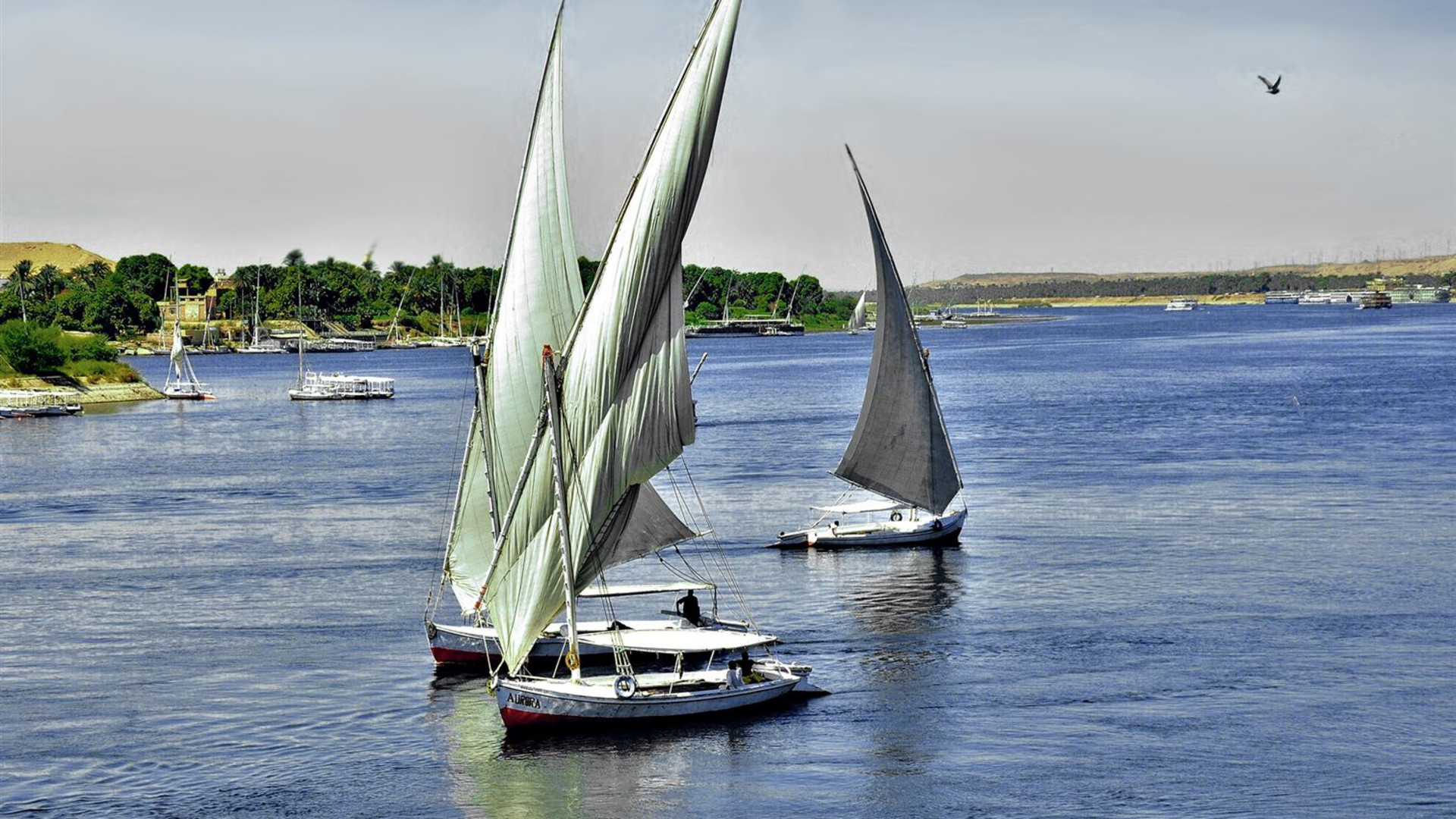 Treasures of Egypt