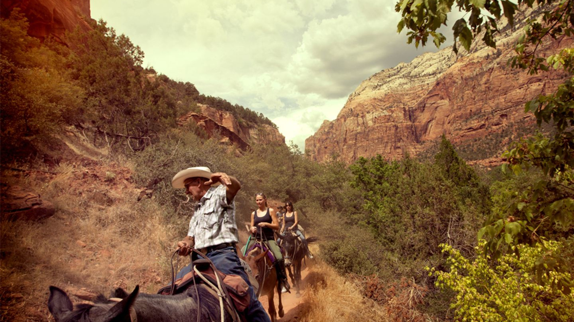 Zion to San Francisco Adventure