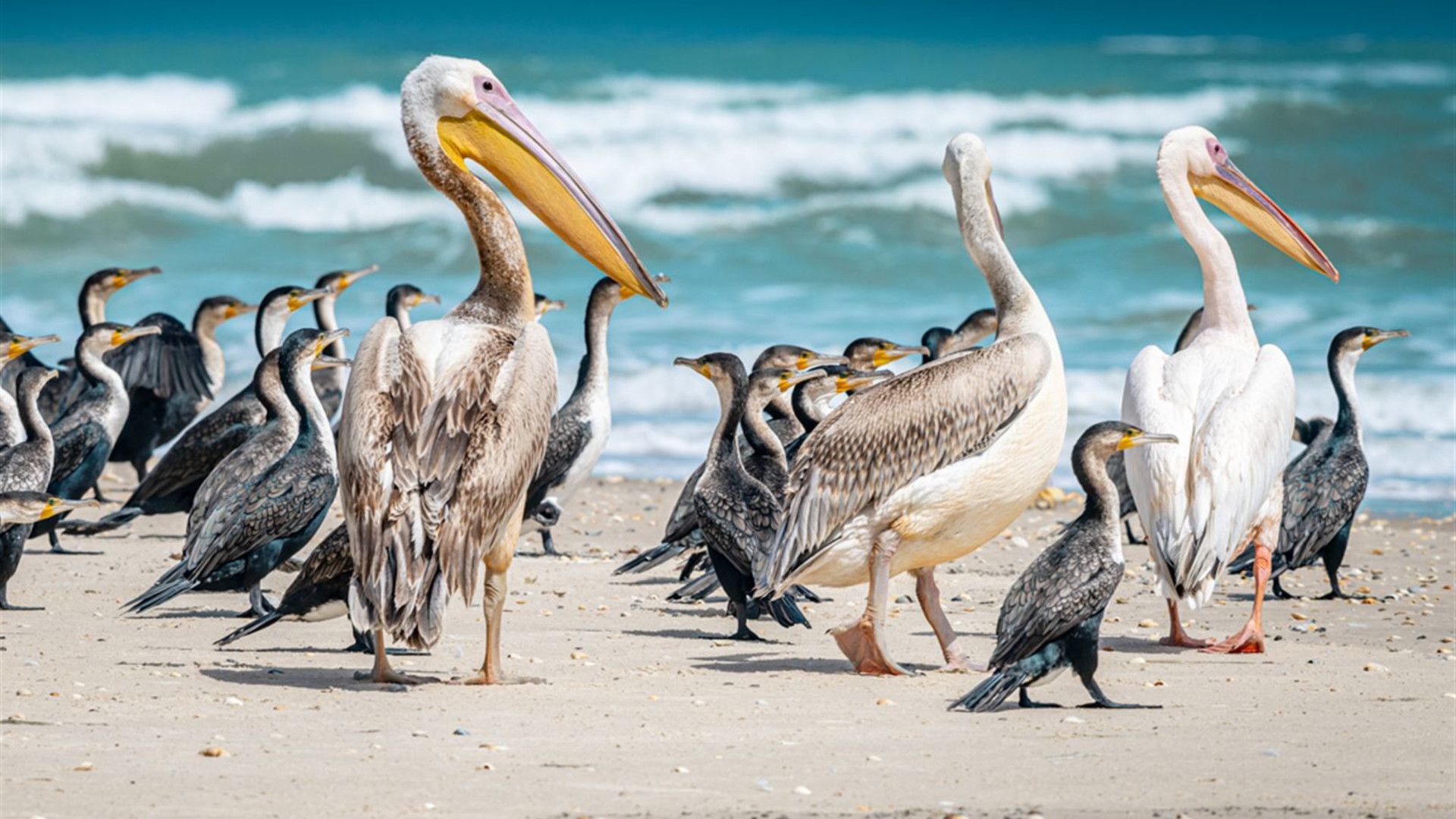 Senegal & The Gambia Adventure