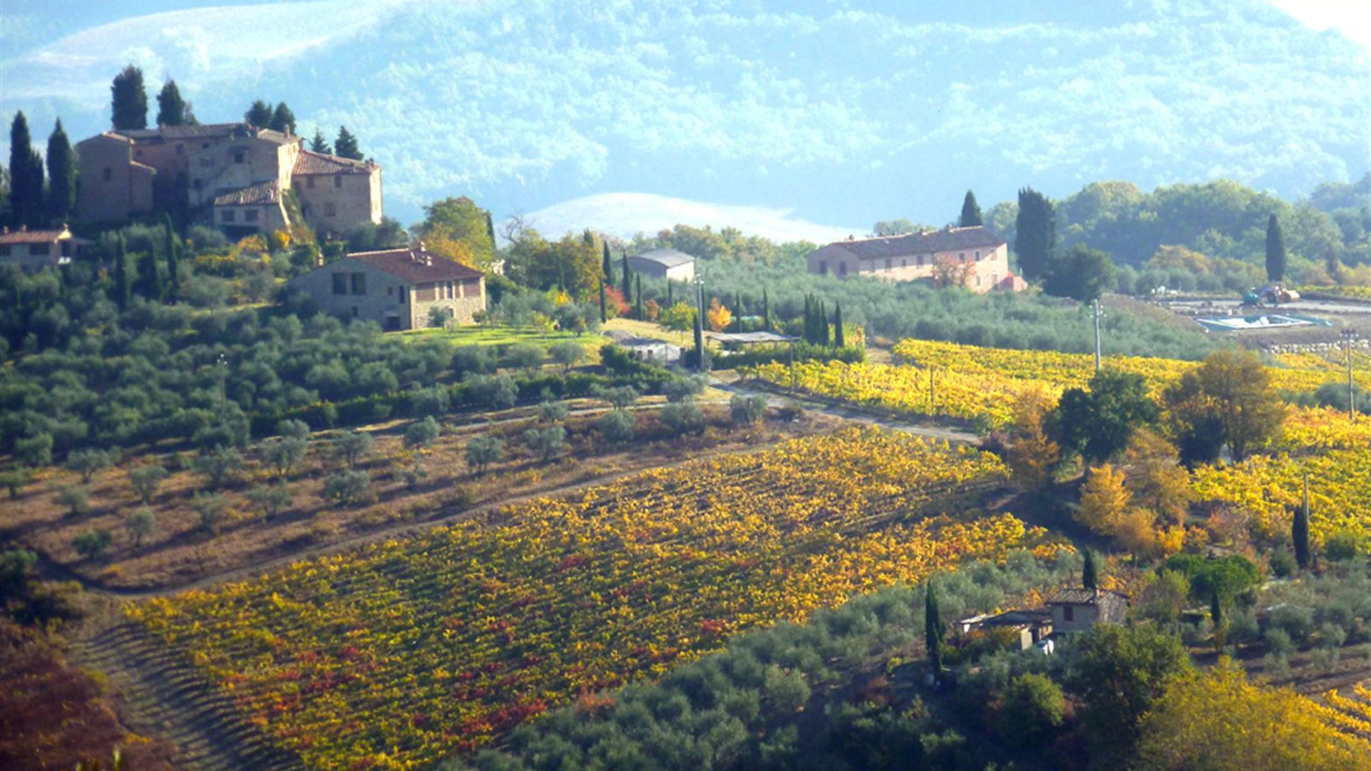 Spotlight on Tuscany