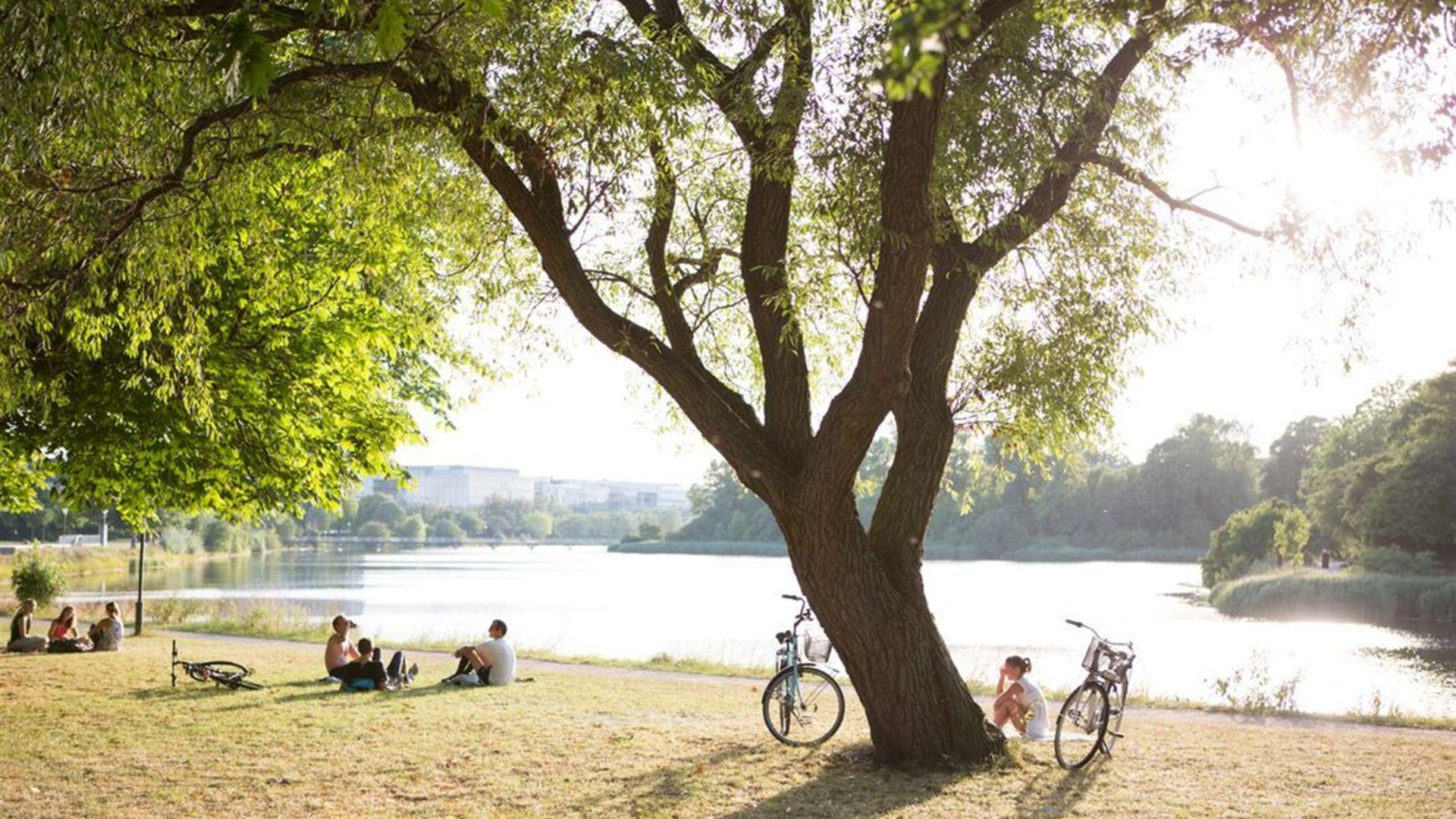 18 to 35s Essential Scandinavia