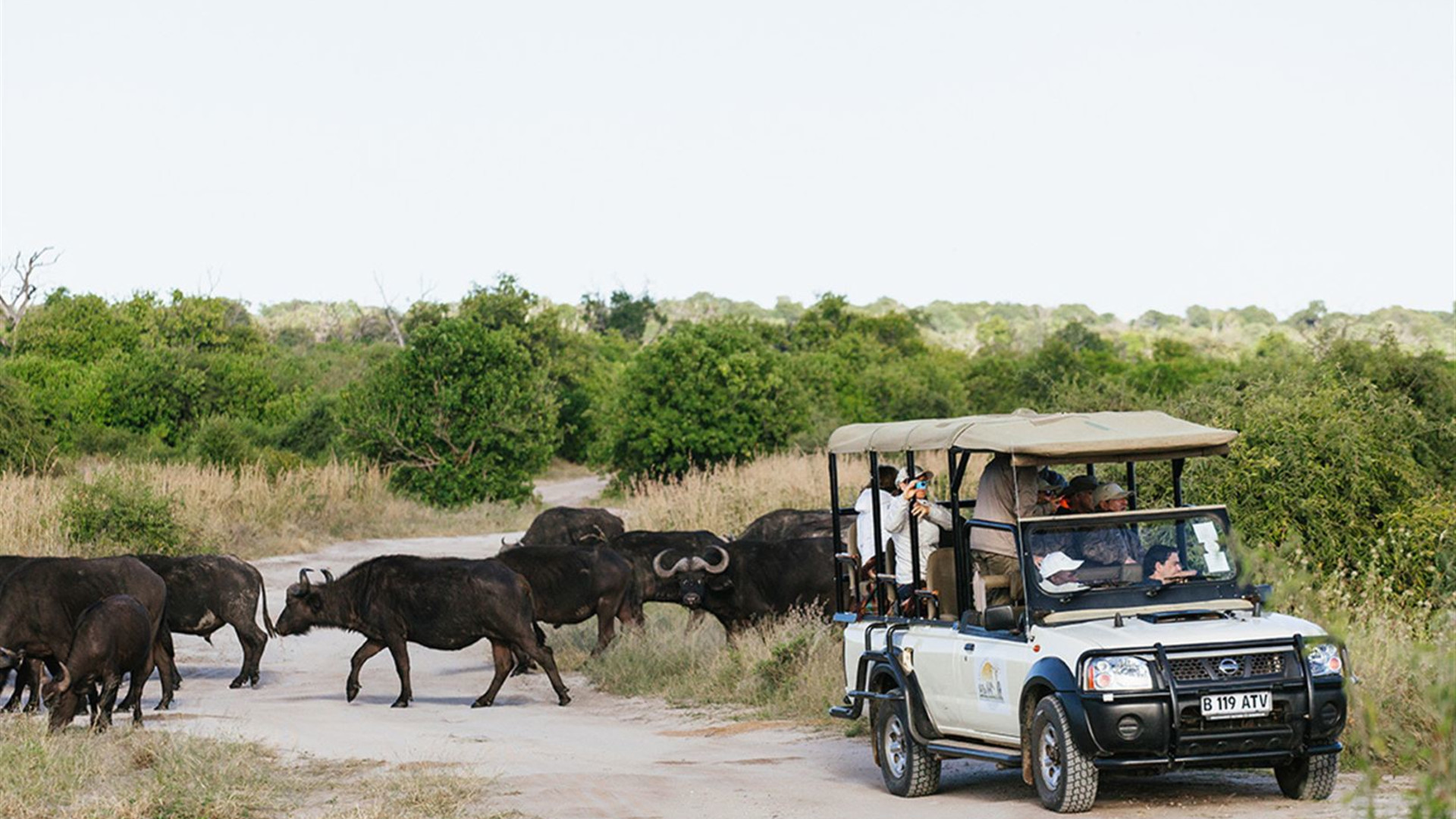 Botswana Highlights