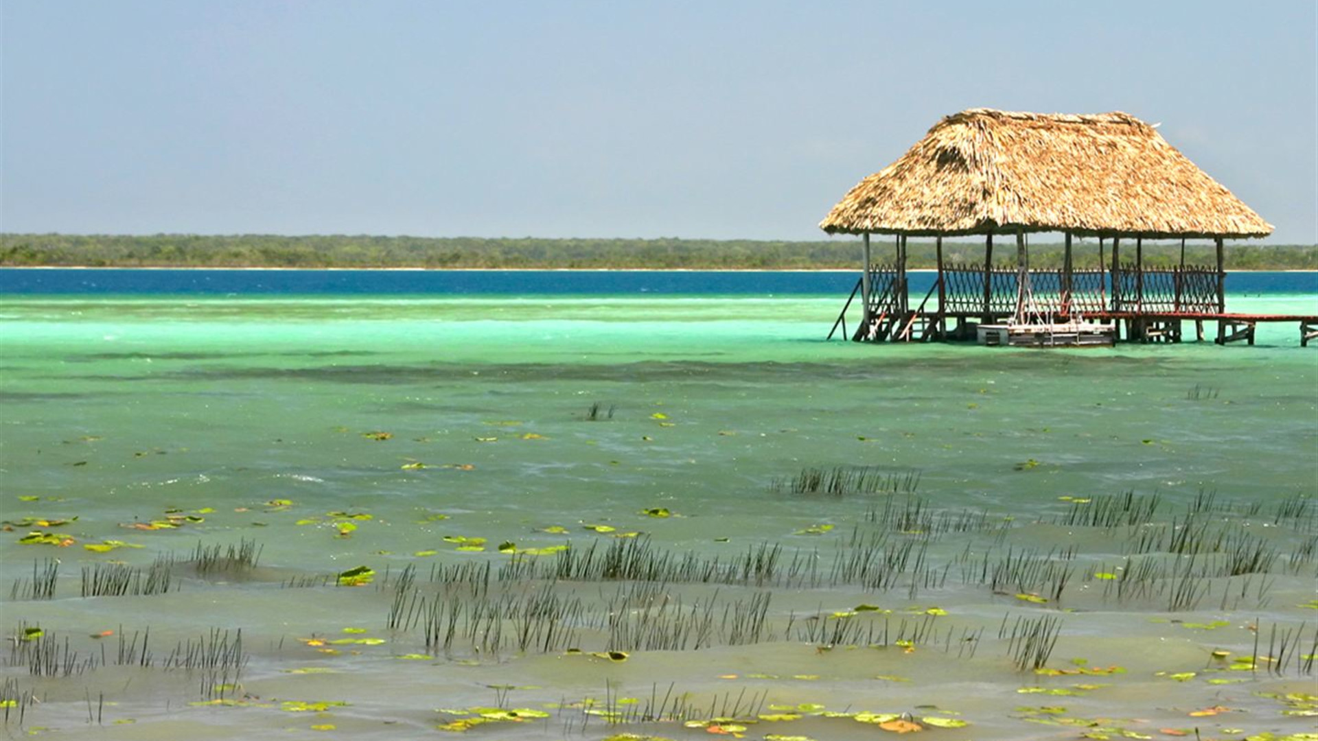 Ein Monat Mittelamerika: Tulum, Tikal und mehr