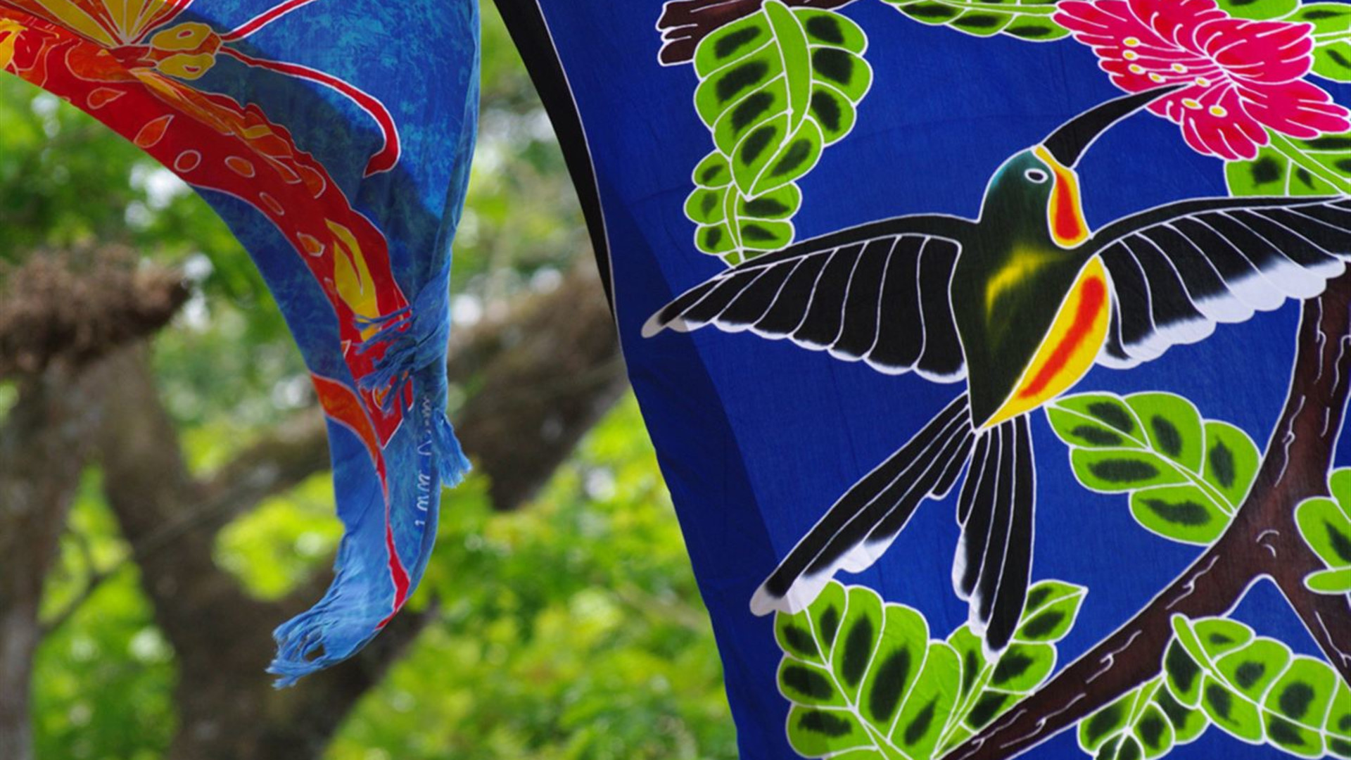 Signature: Costa Rica's Tortuguero, Arenal & Cloud Forests