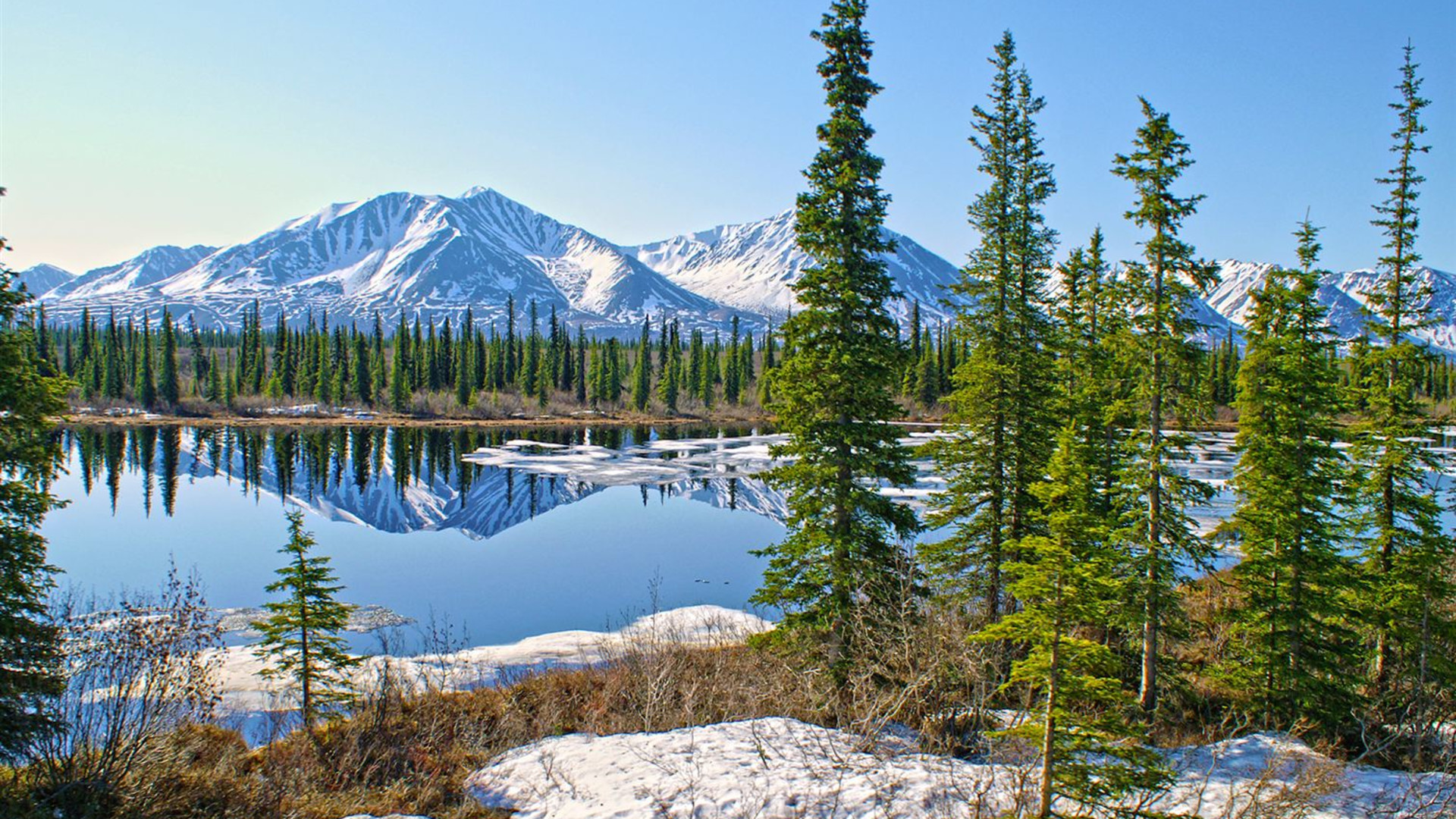Alaska Discovery