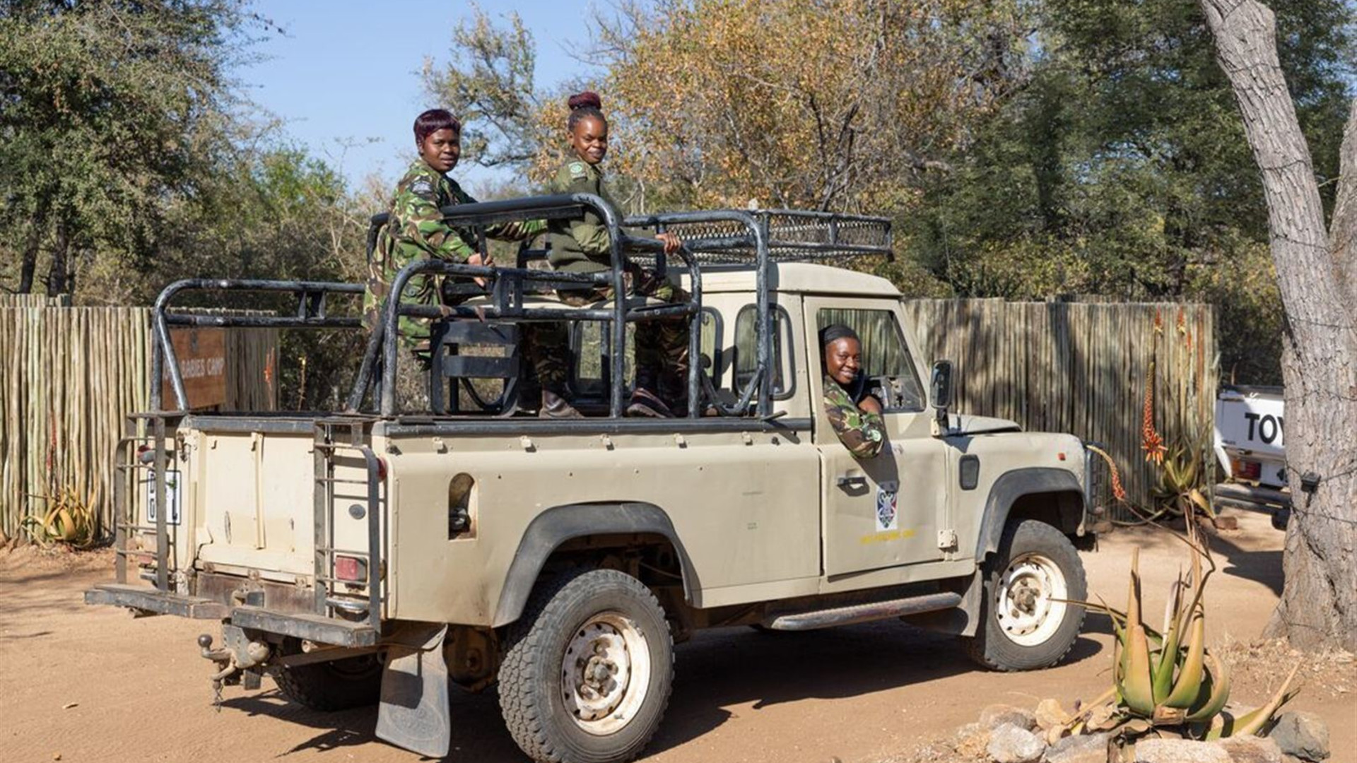 Southern Africa Safari