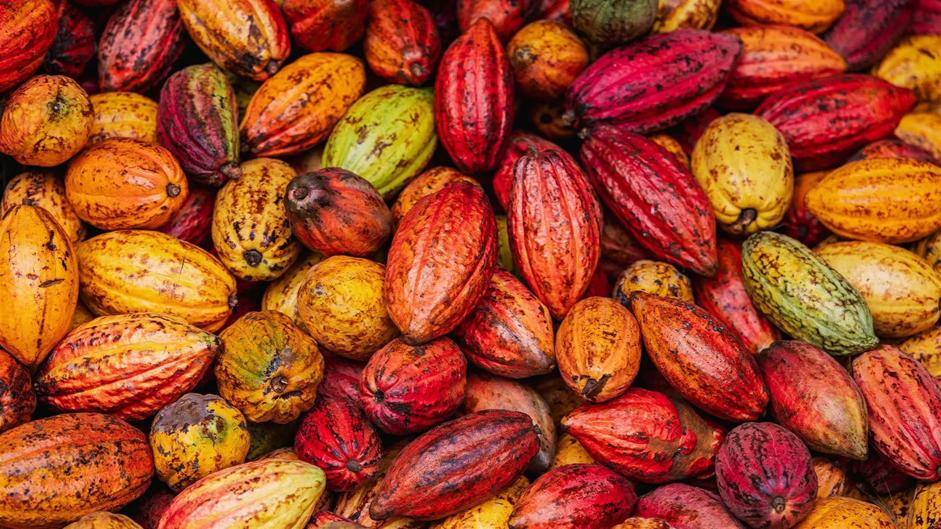 Signature: Vietnam, Laos & the Temples of Cambodia