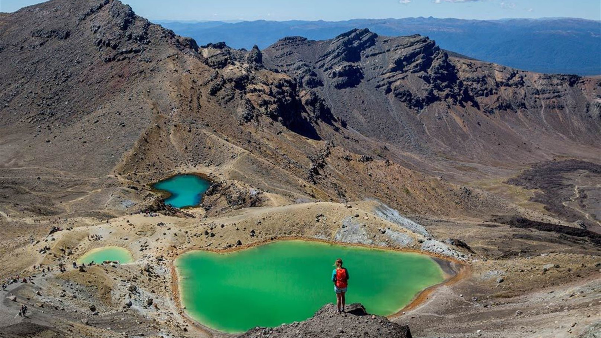 New Zealand Northern Trail