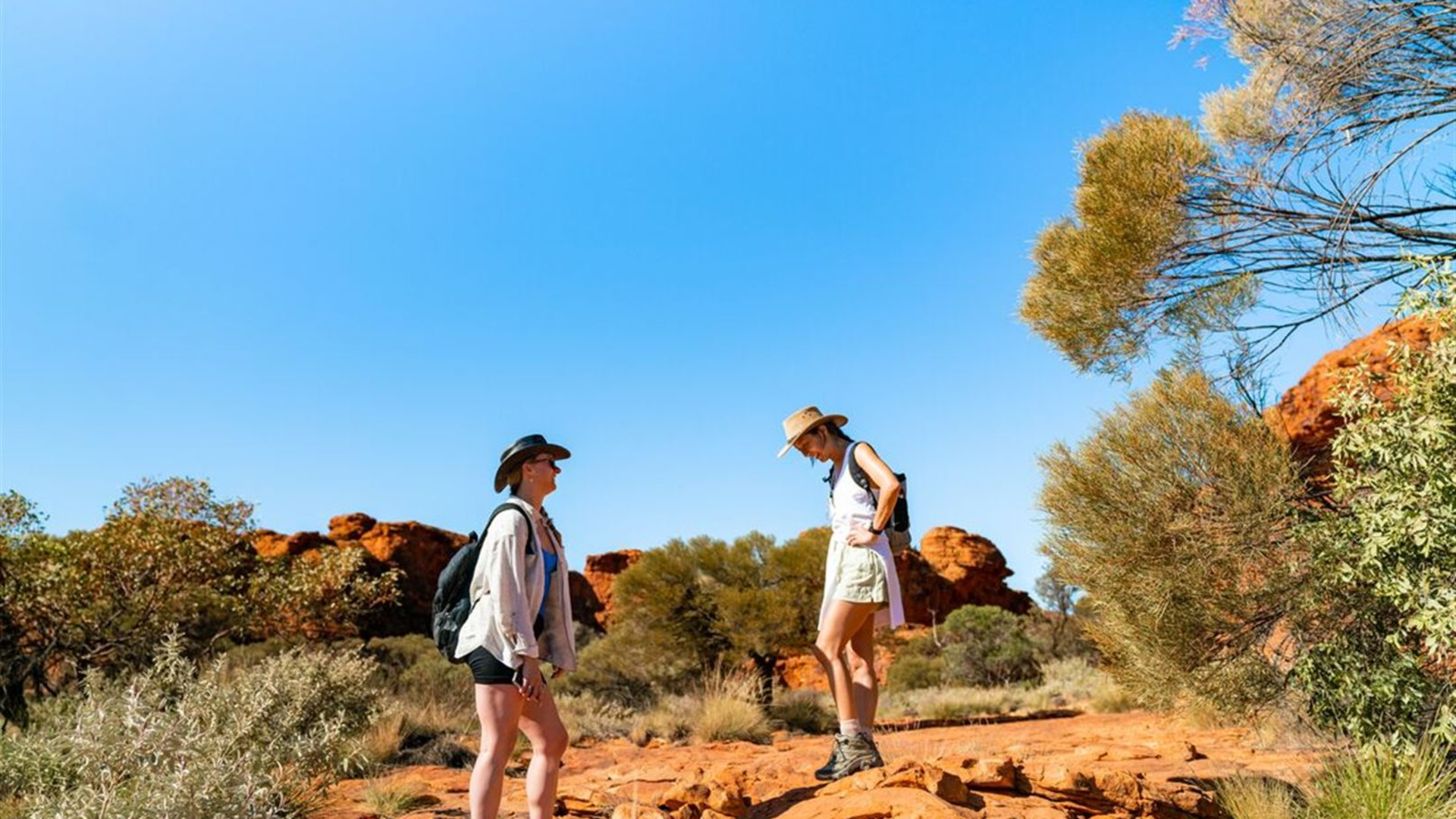 Red Centre & Uluru Explorer