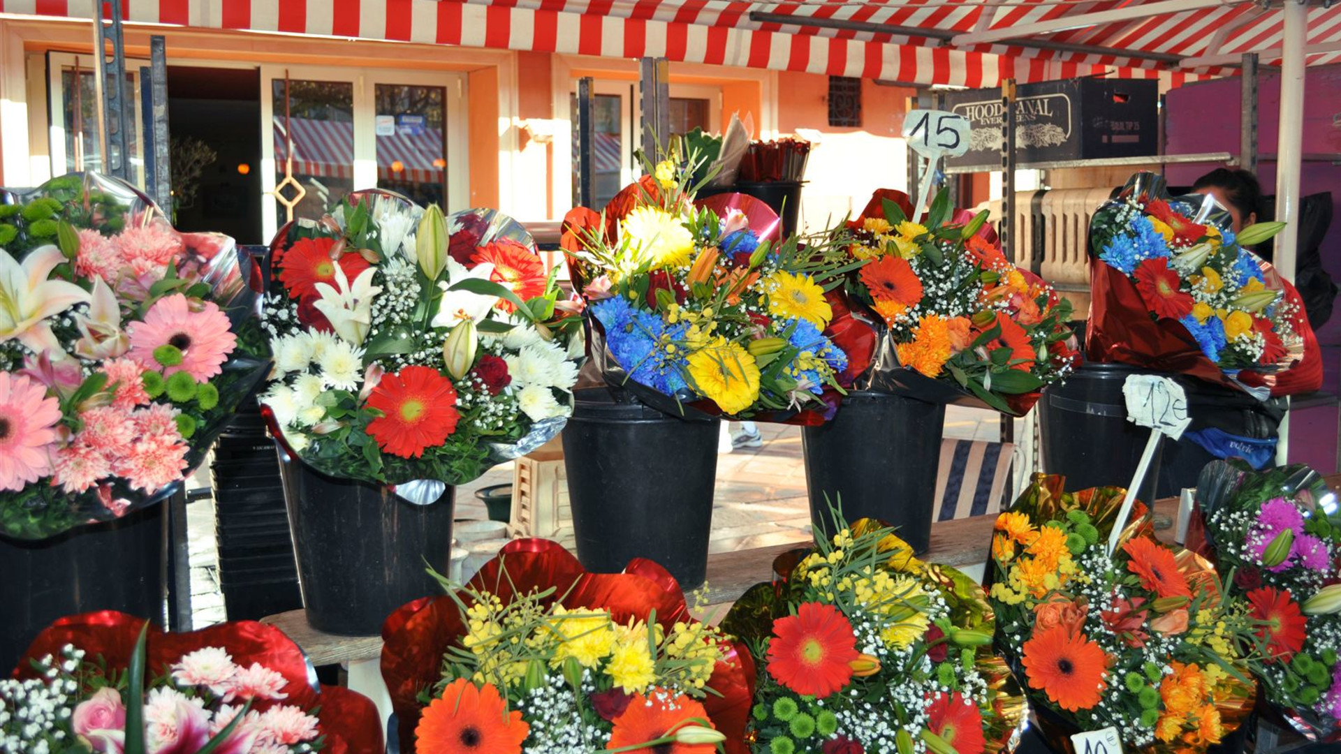 Spotlight on the French Riviera