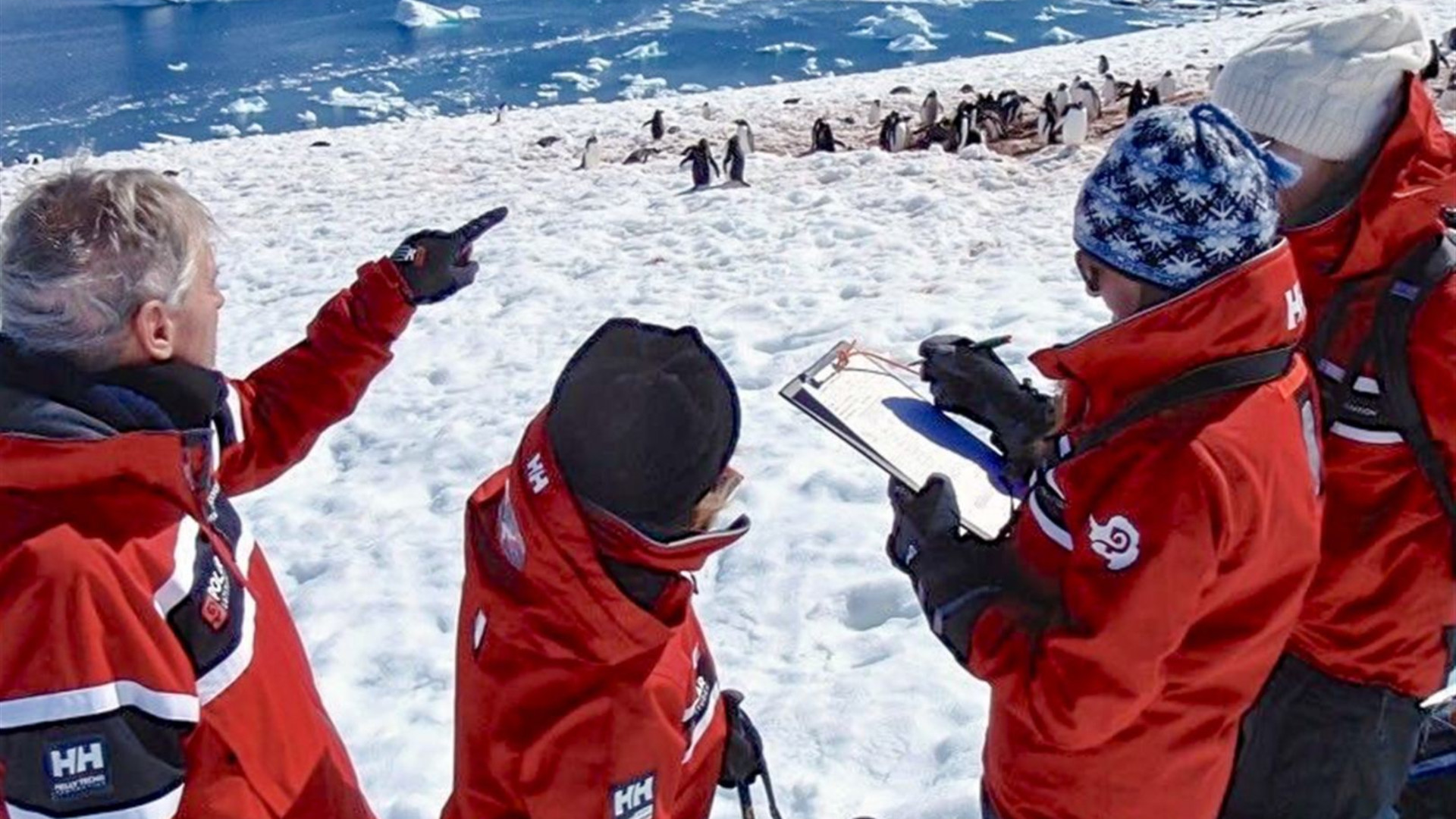 Celebrating New Year's in Antarctica (Ocean Albatros)