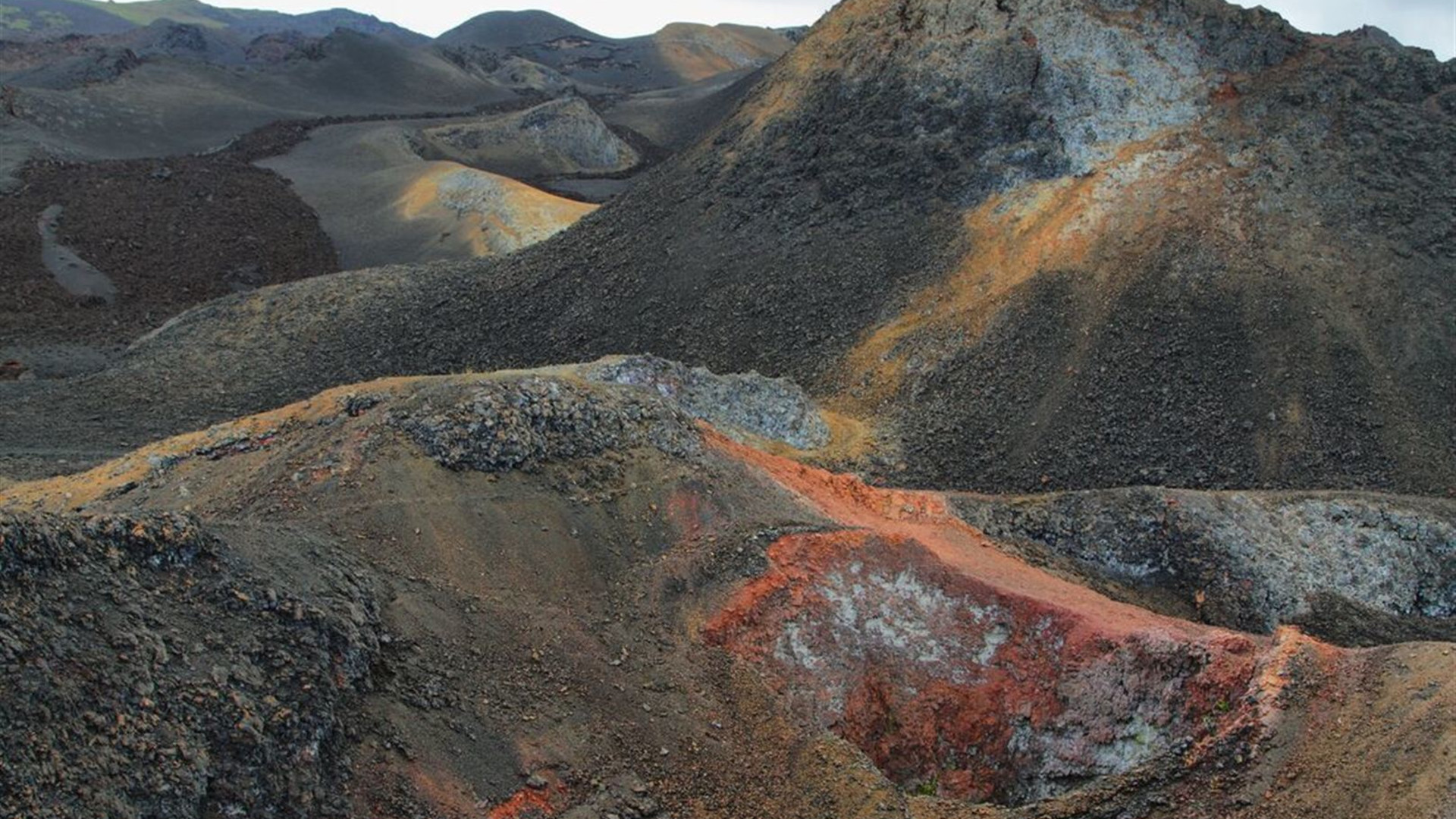 Ecuador Amazon & Galapagos Family Holiday