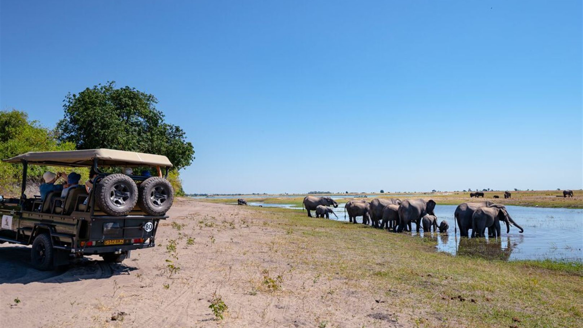 Okavango Experience