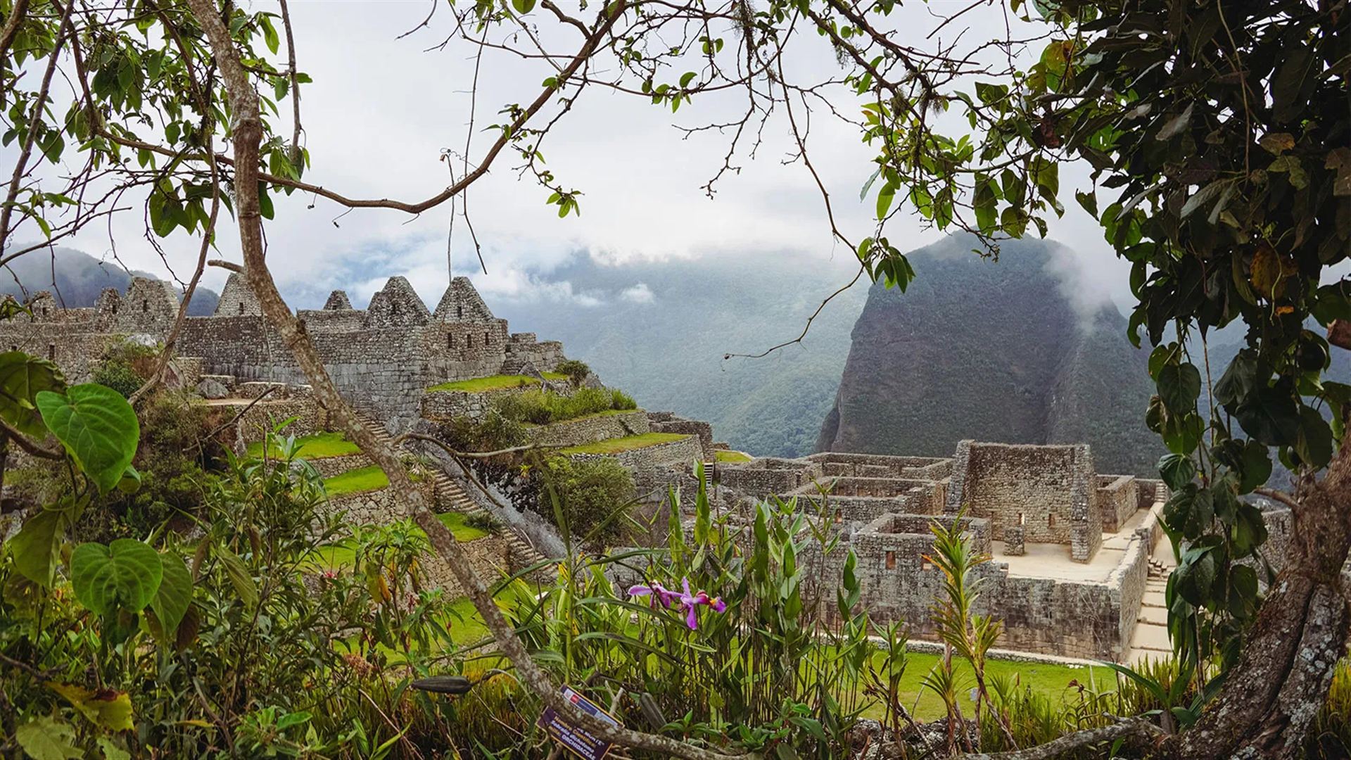 Trekking the Inca Trail: 4D/3N